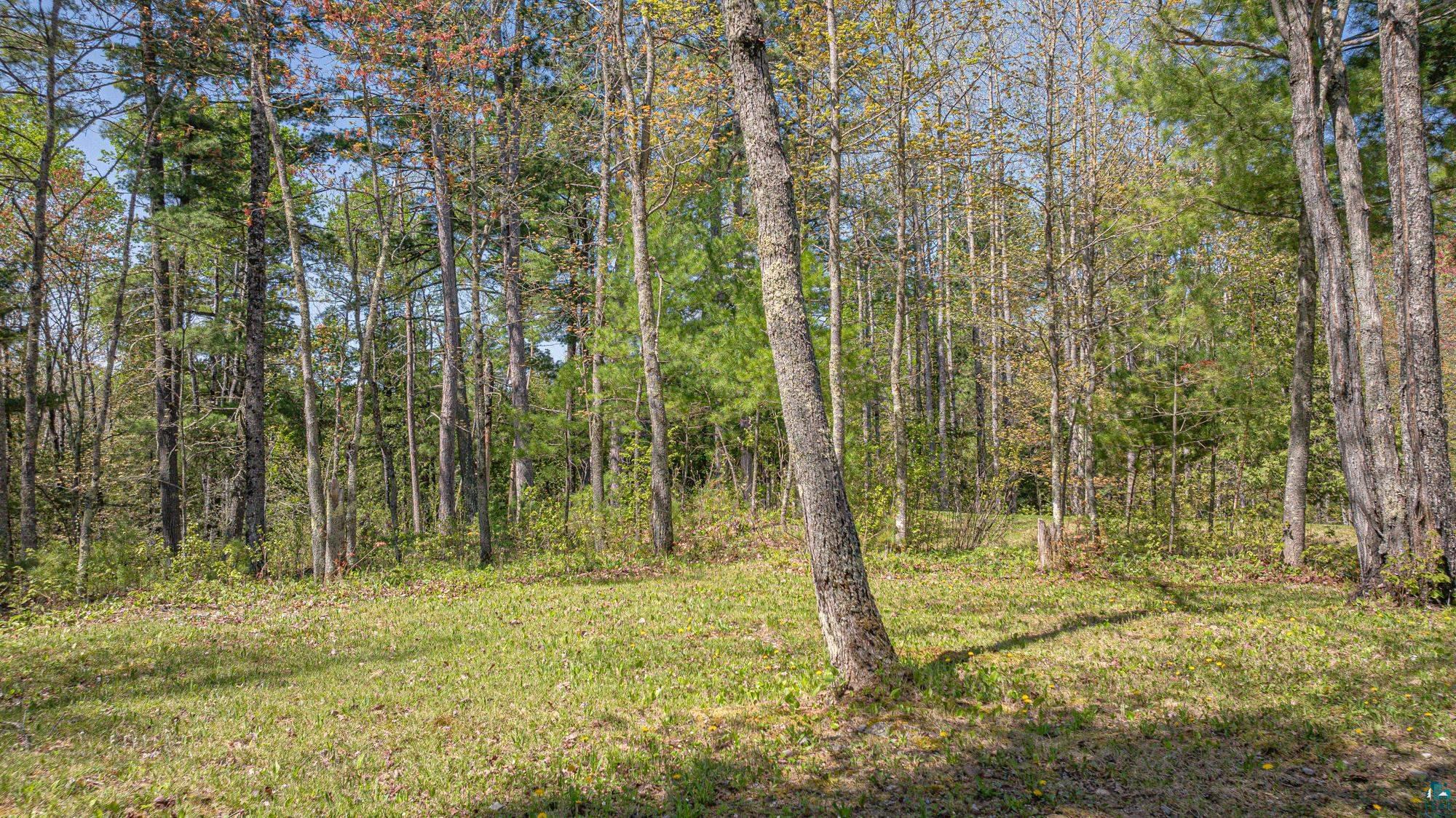 4151 Mud Creek Rd, Ely, MN 55731-1635 Listing Photo  78
