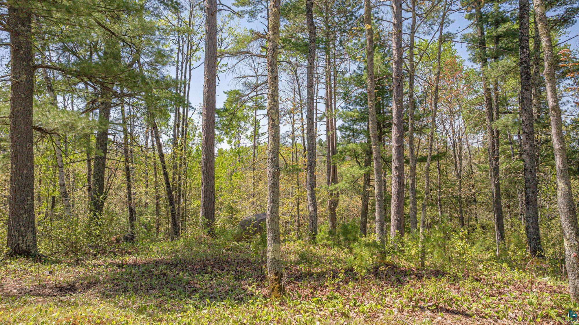4151 Mud Creek Rd, Ely, MN 55731-1635 Listing Photo  79