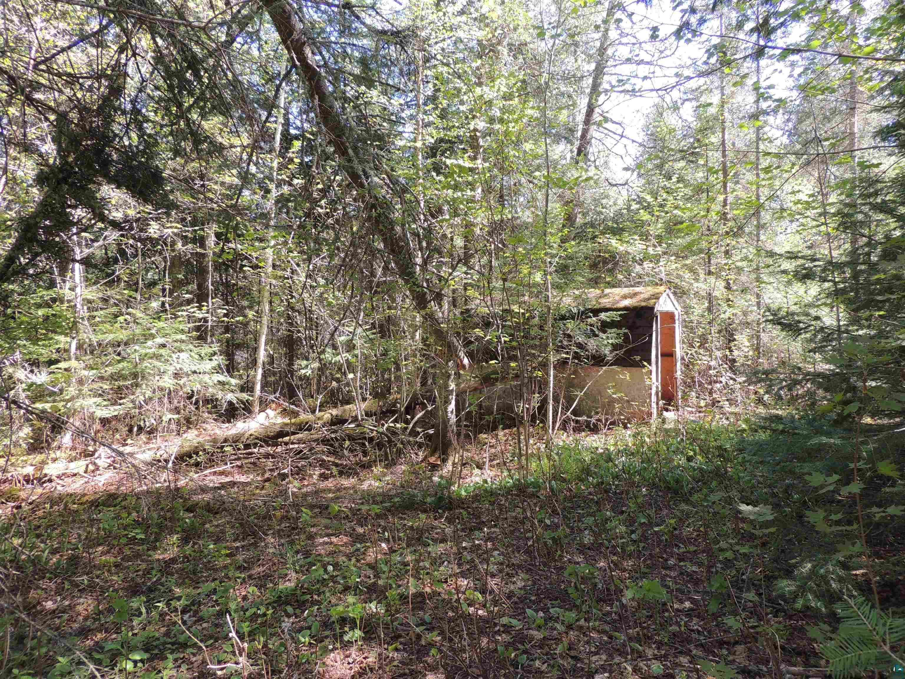 210 E Deeryard Lake Rd, Lutsen, MN 55612 Listing Photo  4