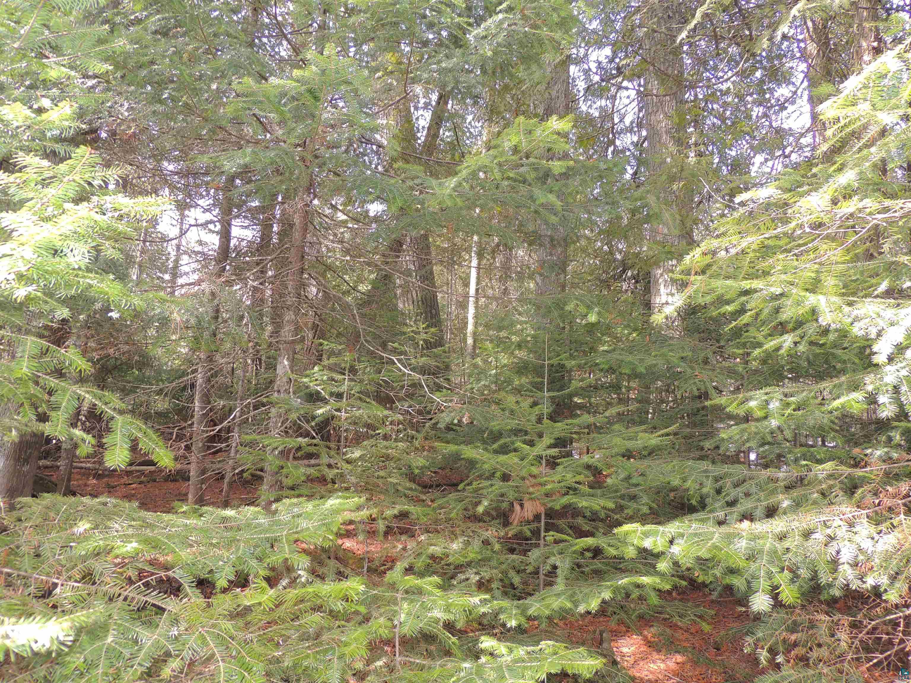 210 E Deeryard Lake Rd, Lutsen, MN 55612 Listing Photo  7
