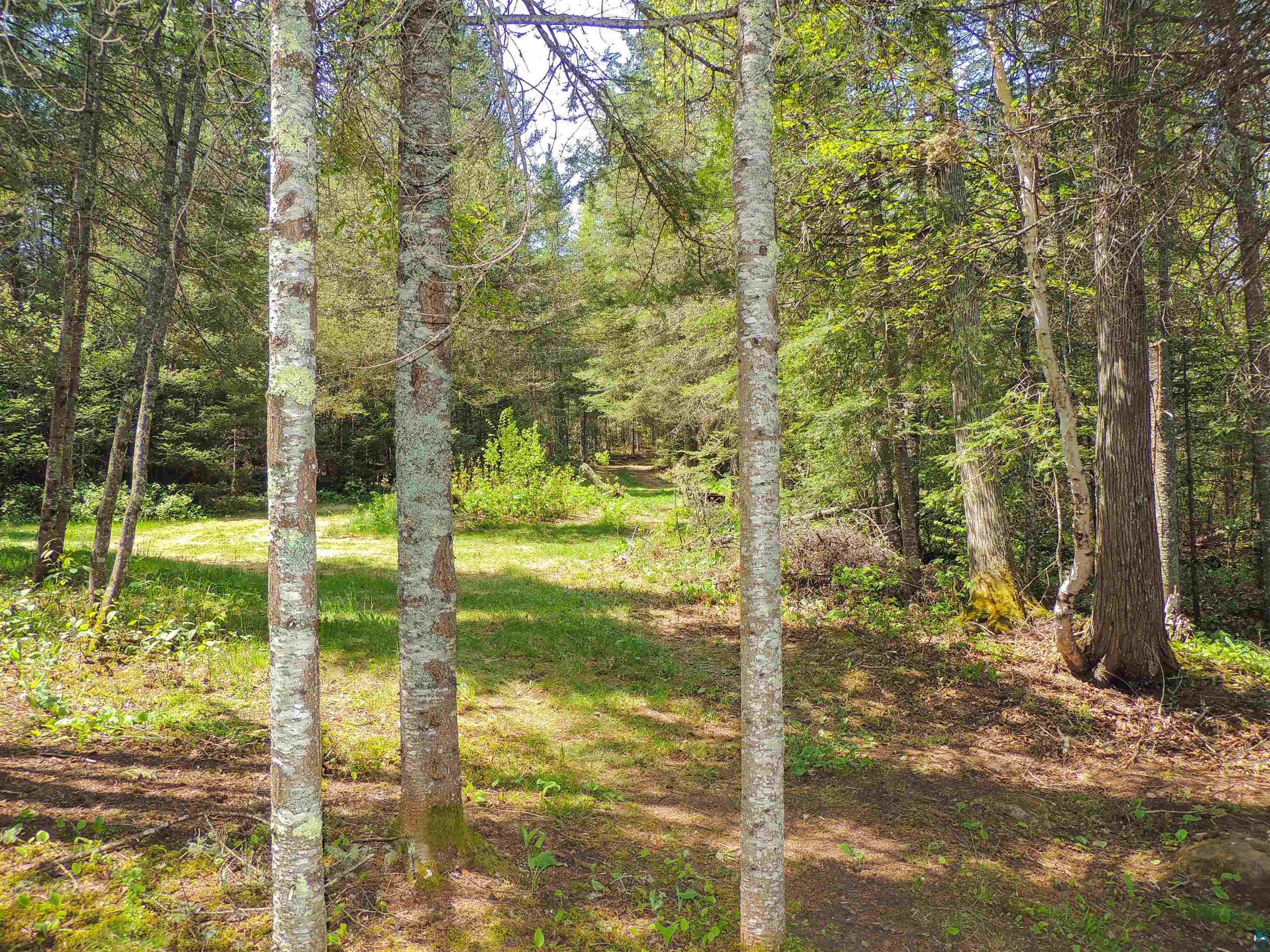 38 Christine Point Rd, Lutsen, MN 55612 Listing Photo  37
