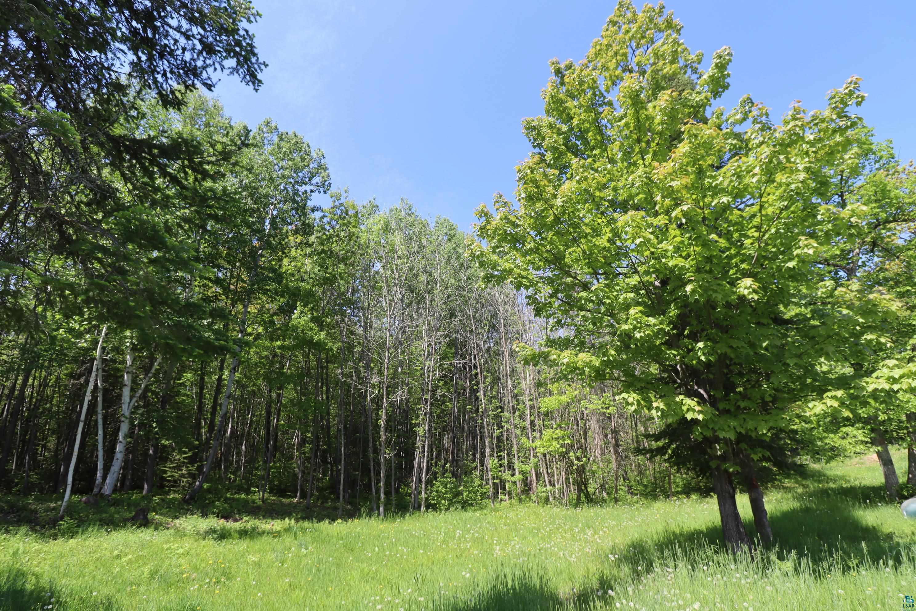 36945 State Hwy 13, Bayfield, WI 54814 Listing Photo  13