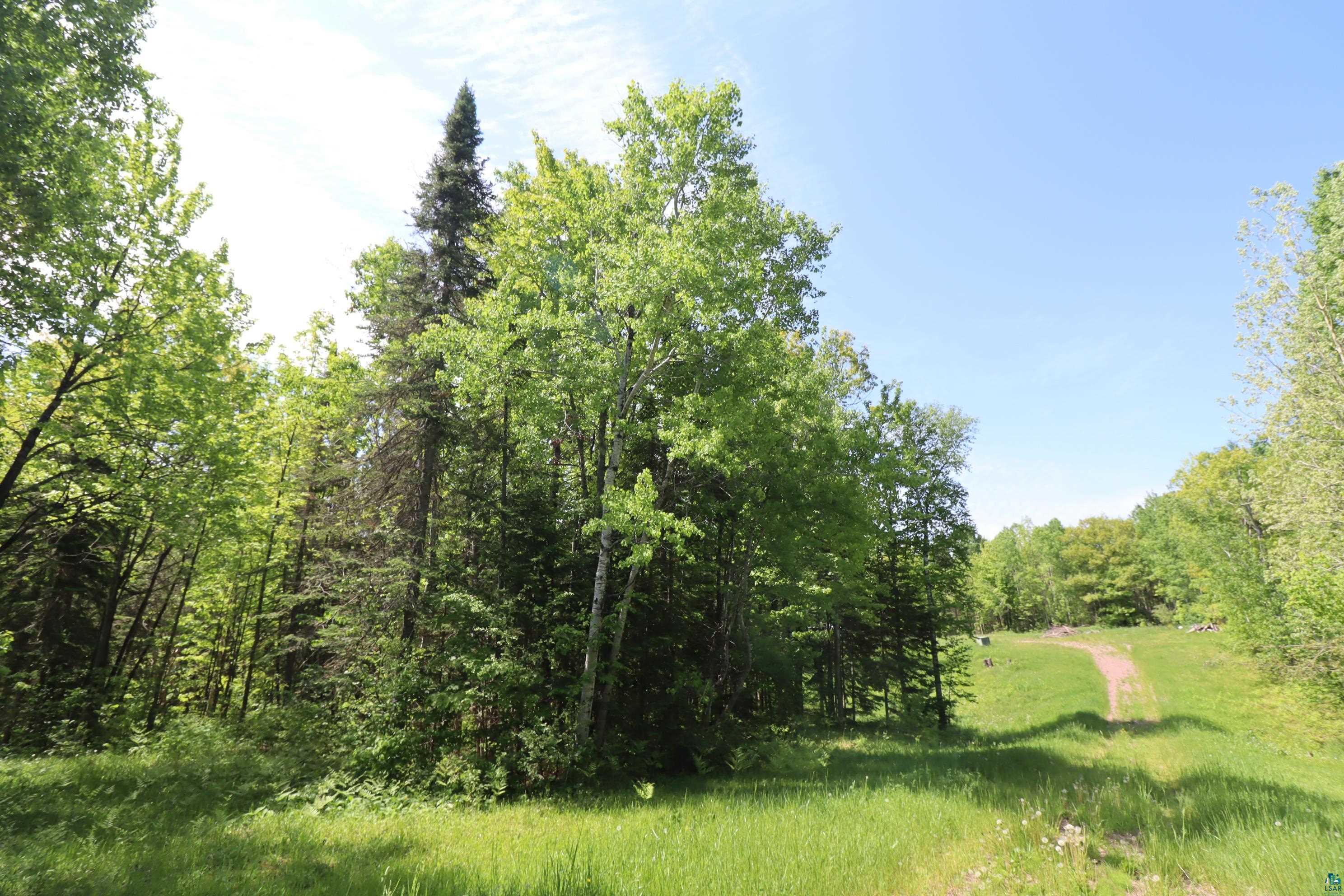 36945 State Hwy 13, Bayfield, WI 54814 Listing Photo  3