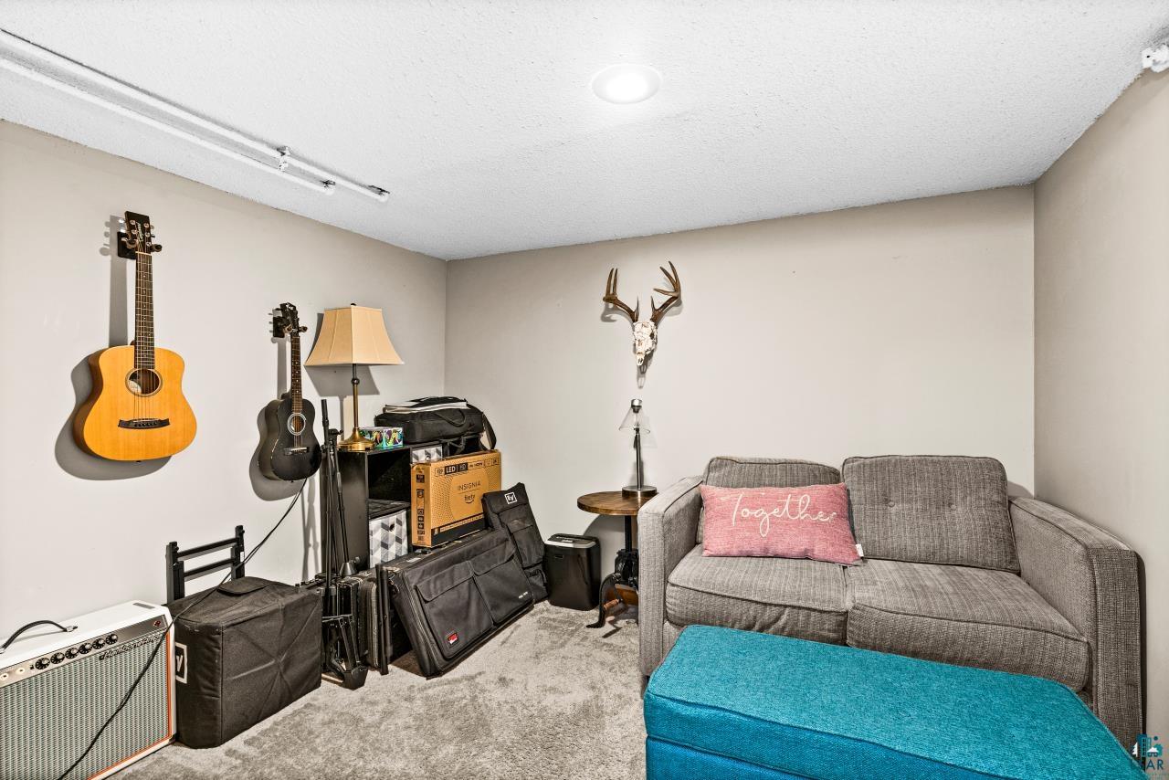 303 W Owatonna St, Duluth, MN 55803 Listing Photo  26