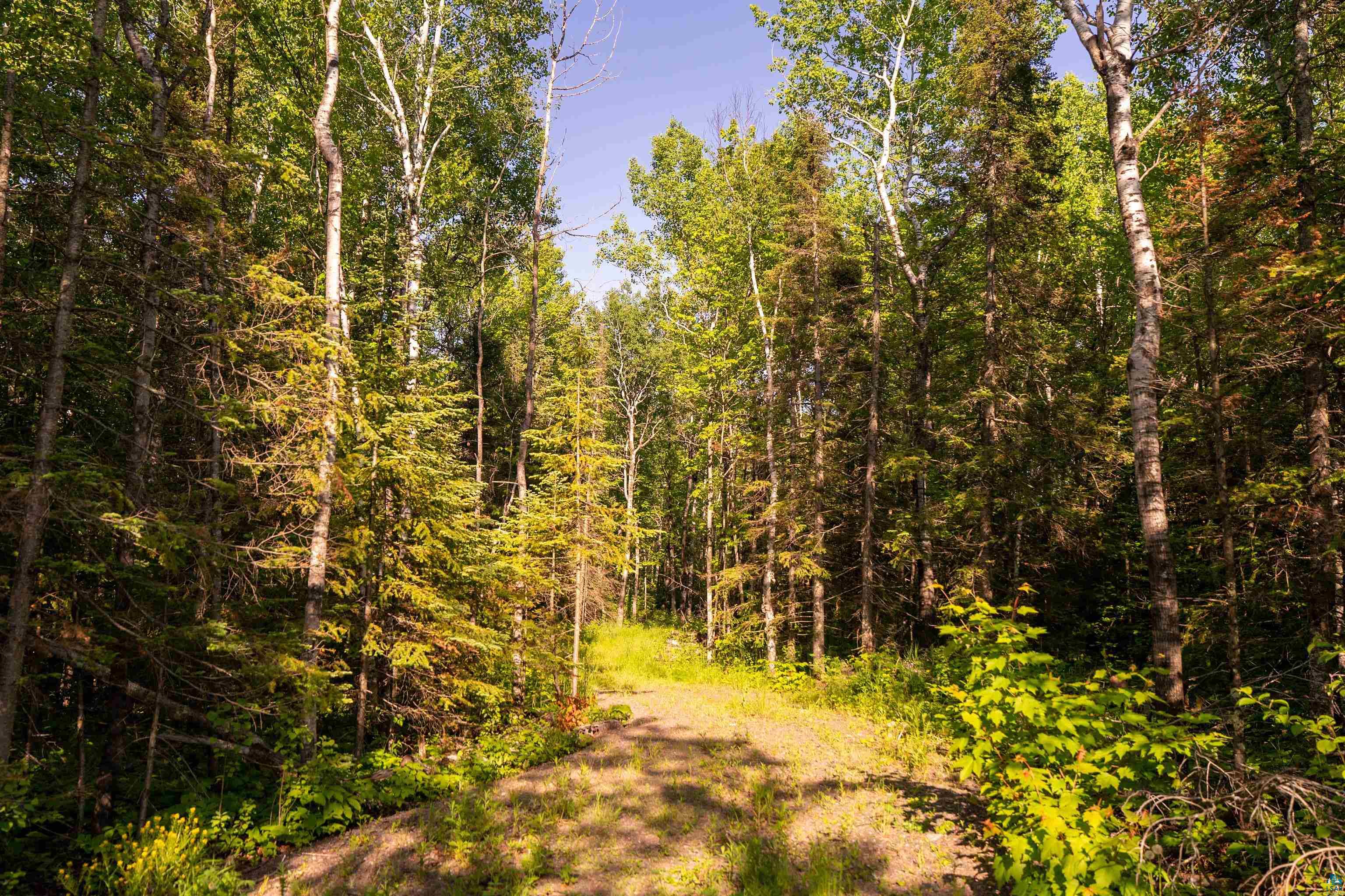 58XX McQuade Rd, Duluth, MN 55803 Listing Photo  11