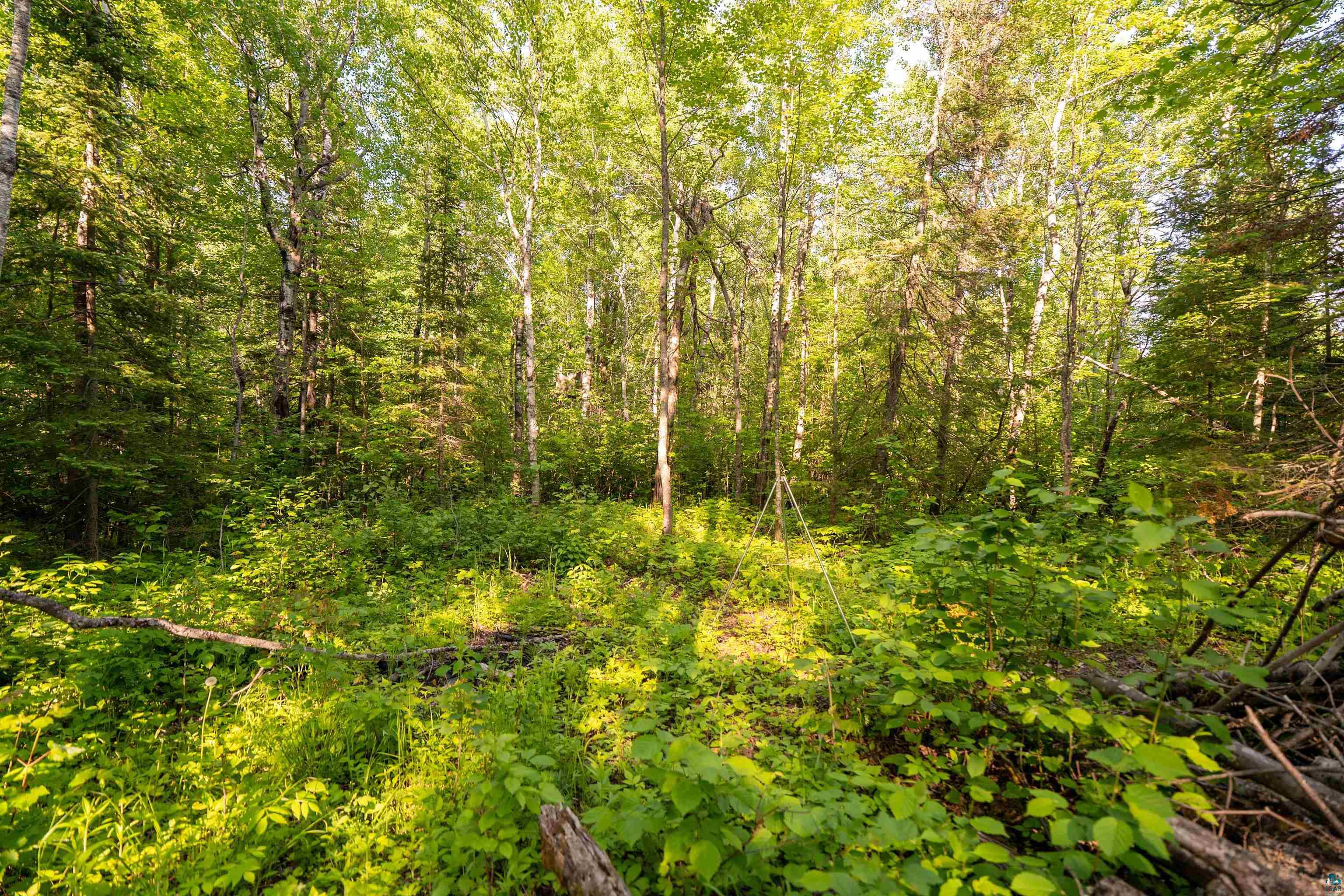 58XX McQuade Rd, Duluth, MN 55803 Listing Photo  20