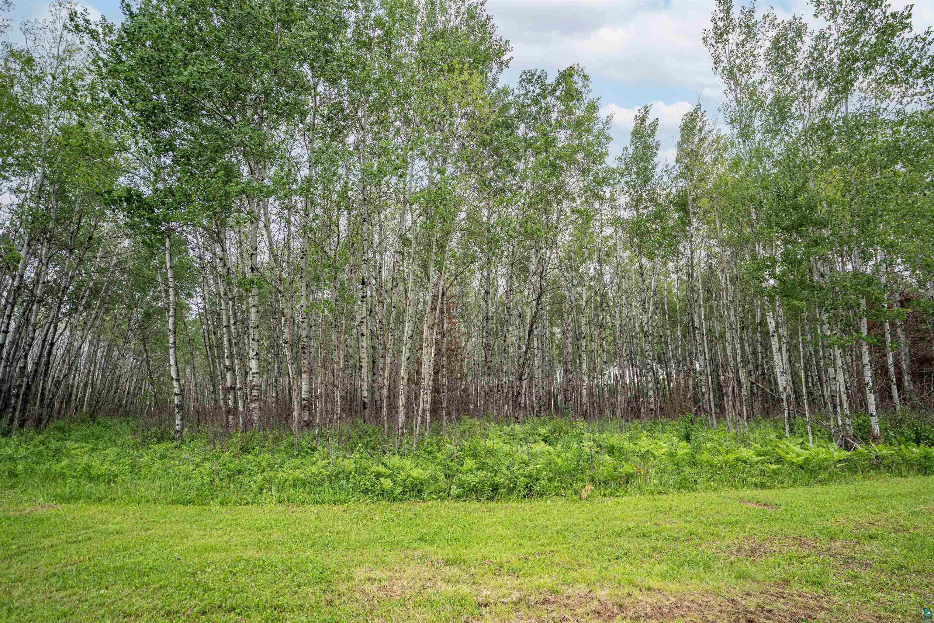 1249 Gabbro Rd, Brimson, MN 55602 Listing Photo  13