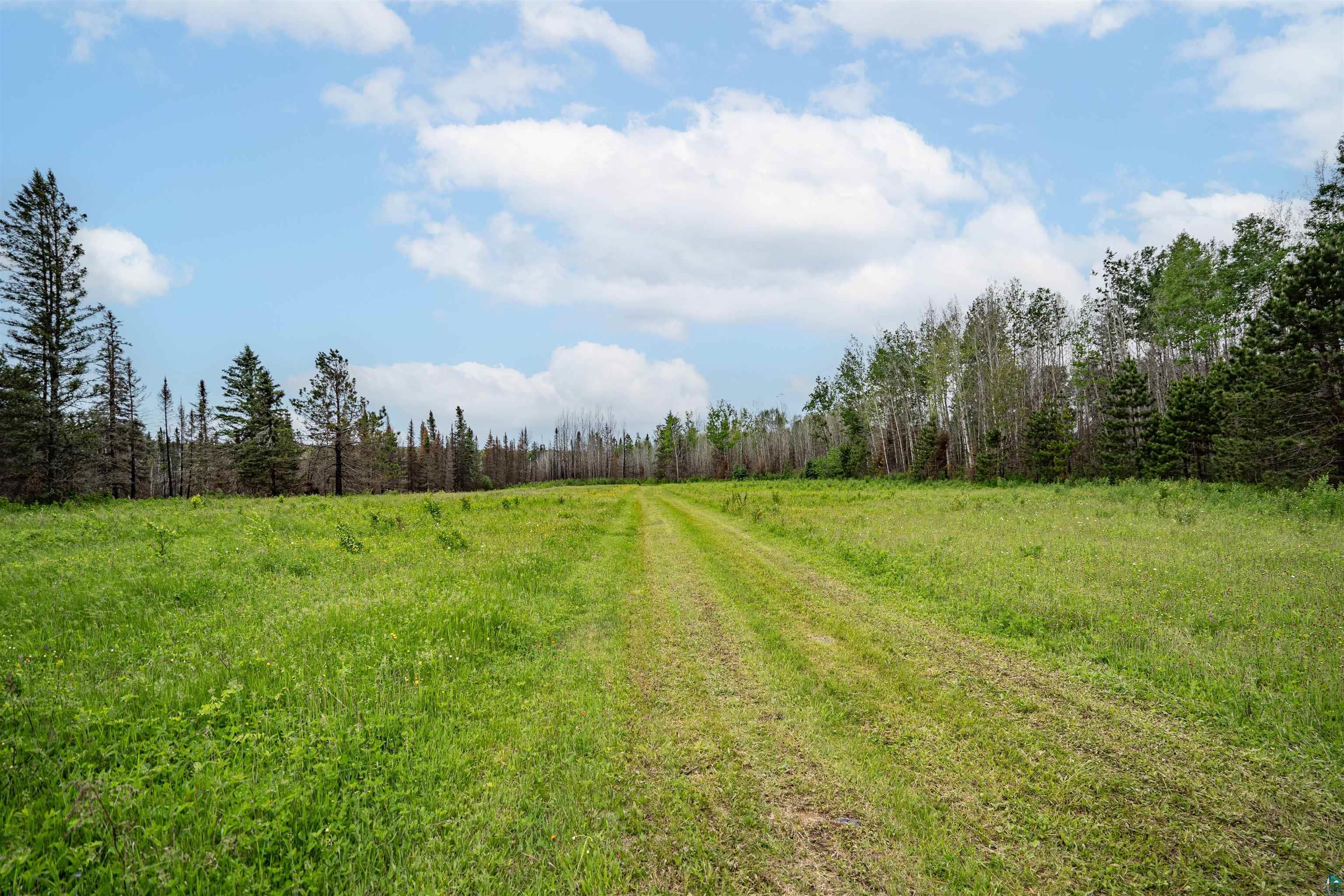 1249 Gabbro Rd, Brimson, MN 55602 Listing Photo  19