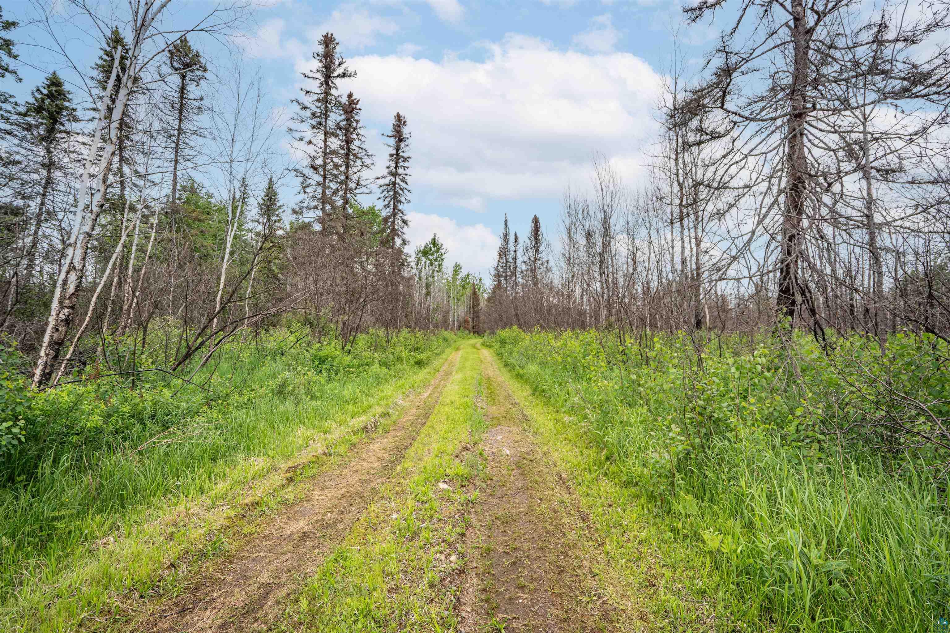 1249 Gabbro Rd, Brimson, MN 55602 Listing Photo  20