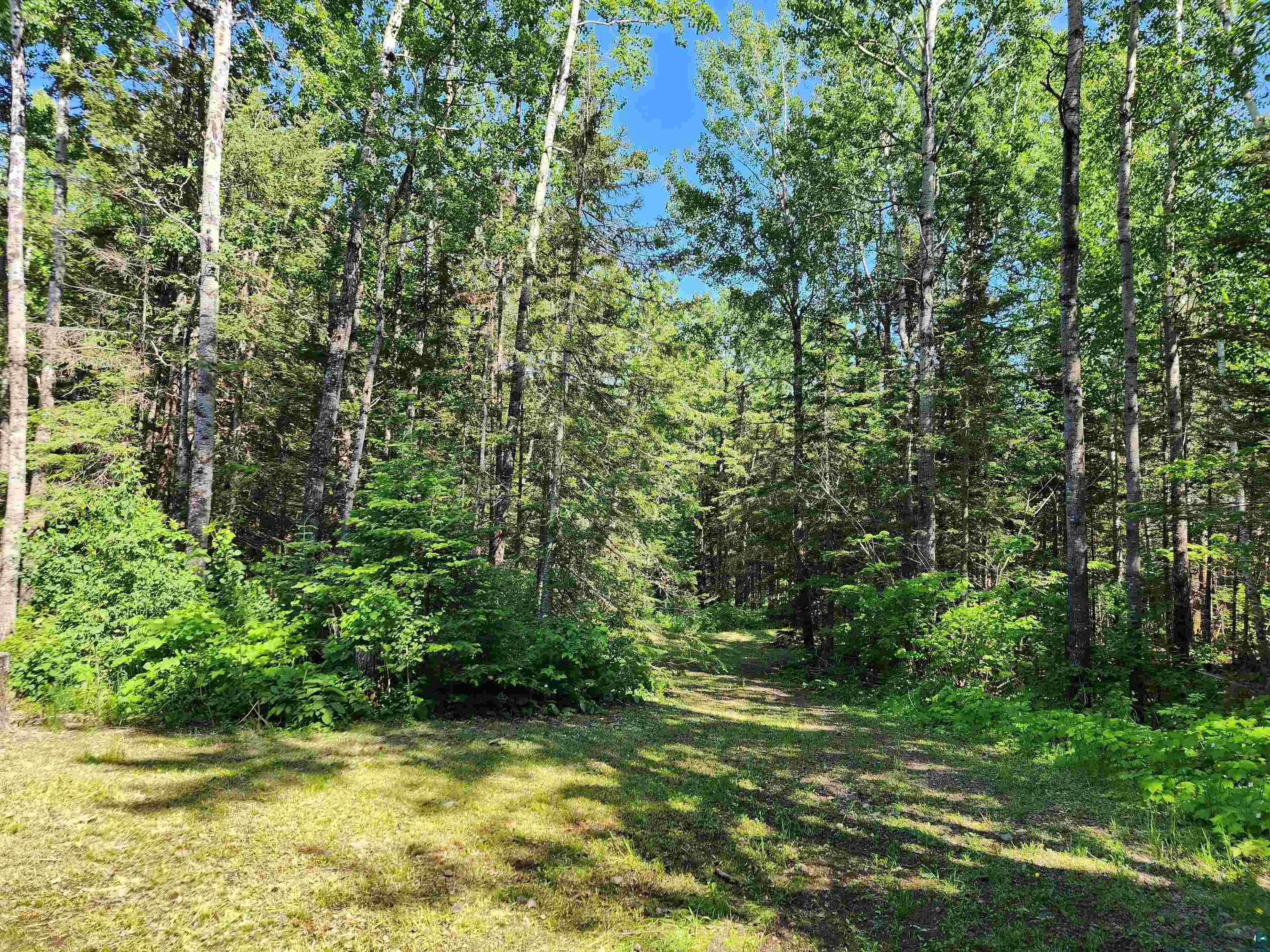 117 Tower Rd, Hovland, MN 55606 Listing Photo  36