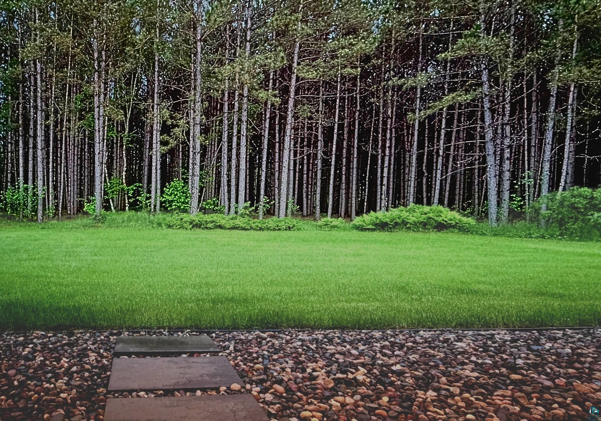 41 E Stark Rd, Esko, MN 55733 Listing Photo  4