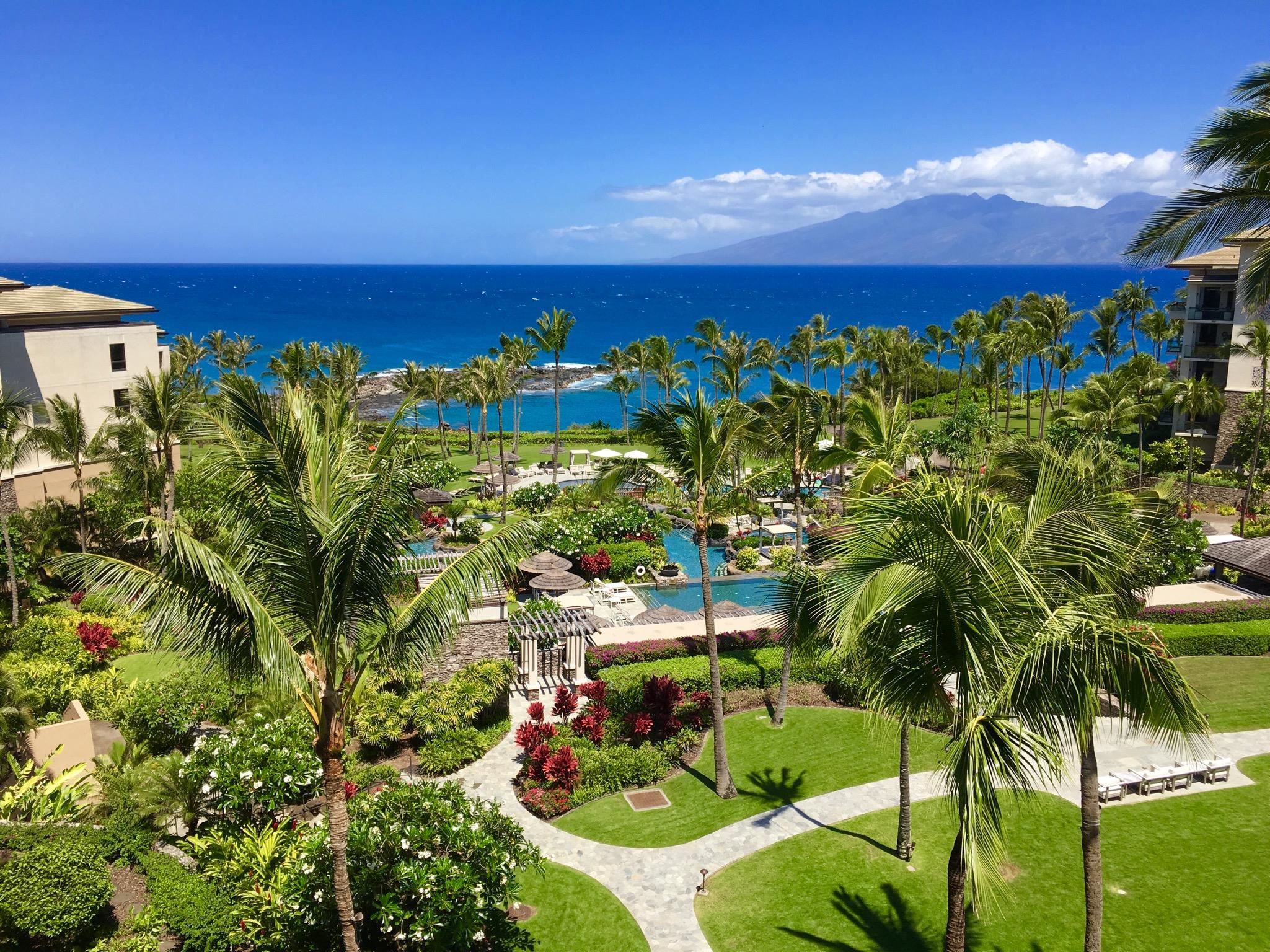 Residences on Kapalua Bay — photo 7