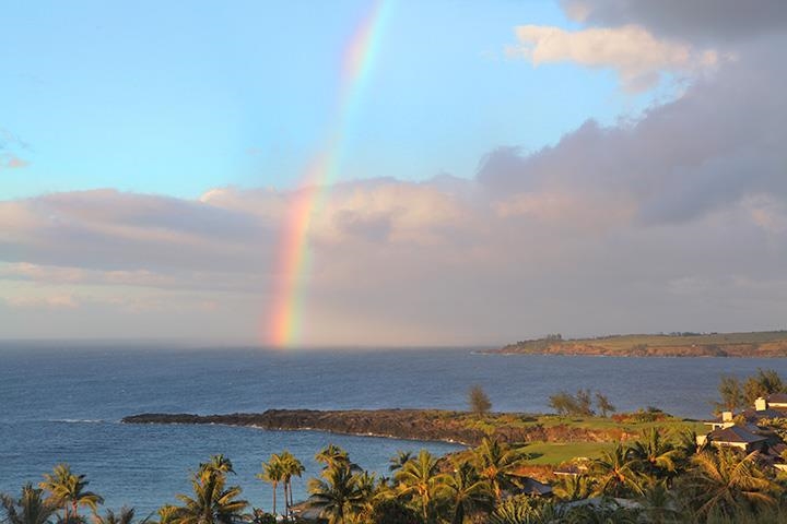 Kapalua Ridge — Kapalua Ridge, Kapalua — property photo 44 of 48