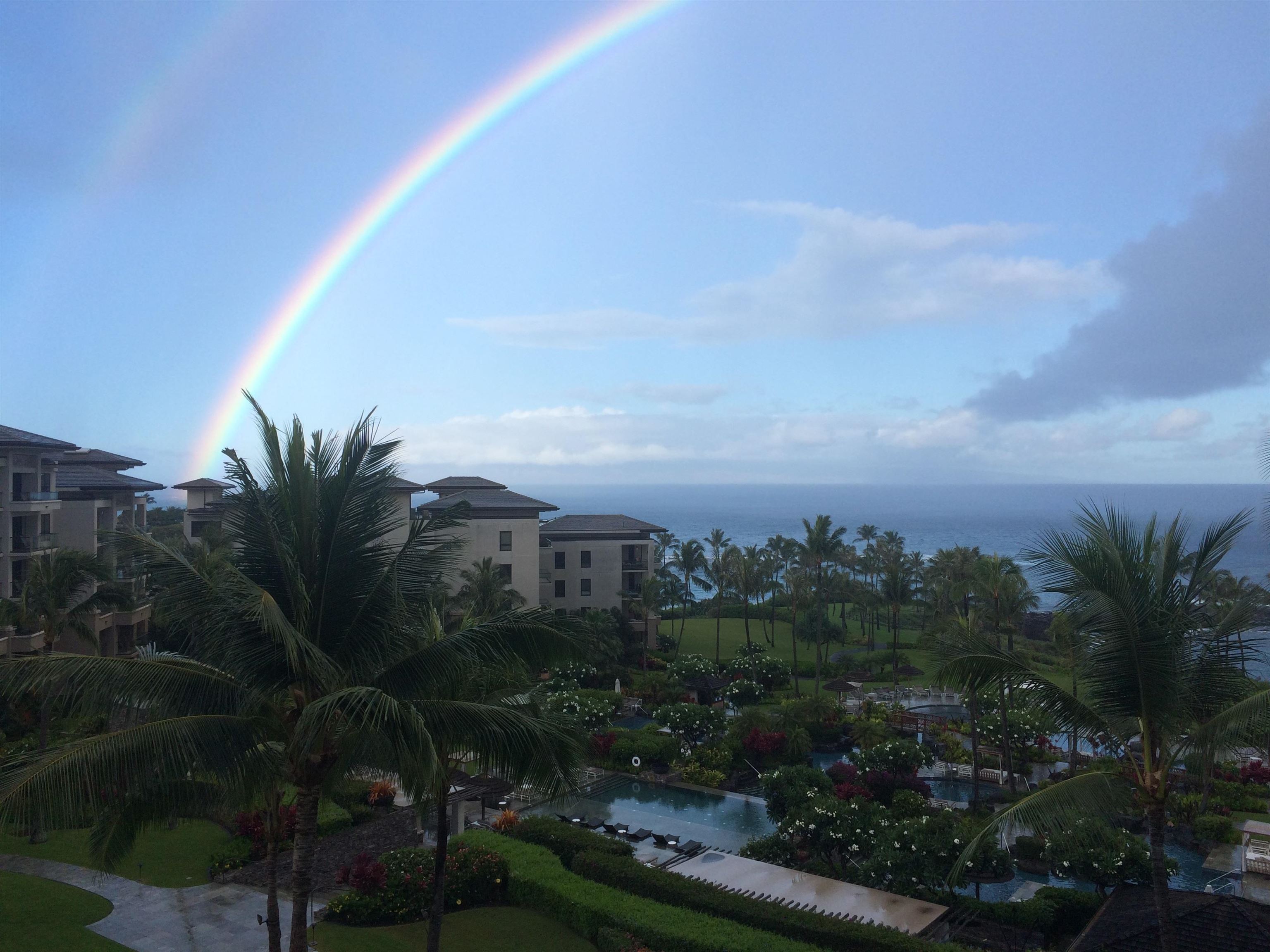 Residences on Kapalua Bay — photo 28