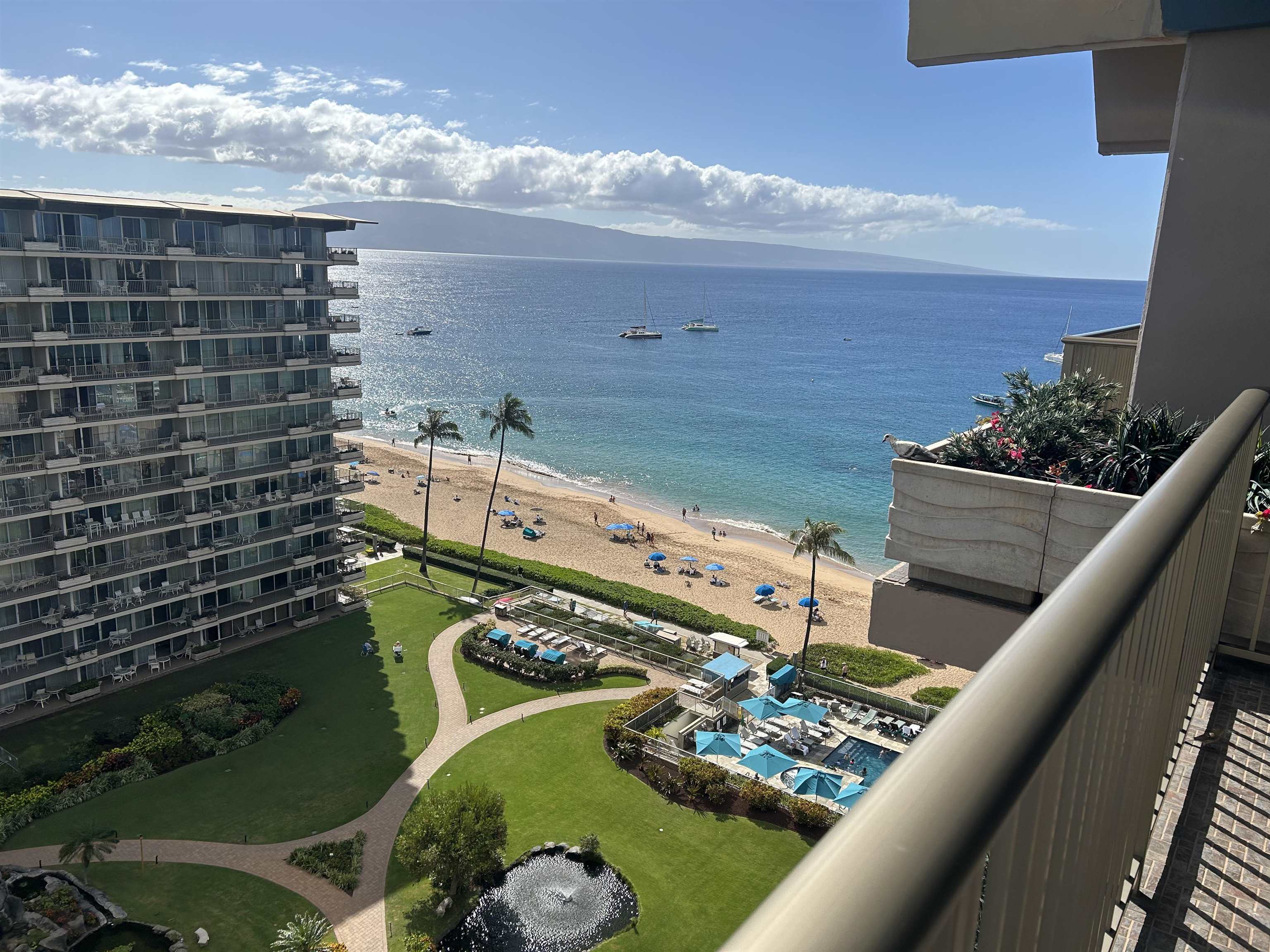 Whaler I — photo 16