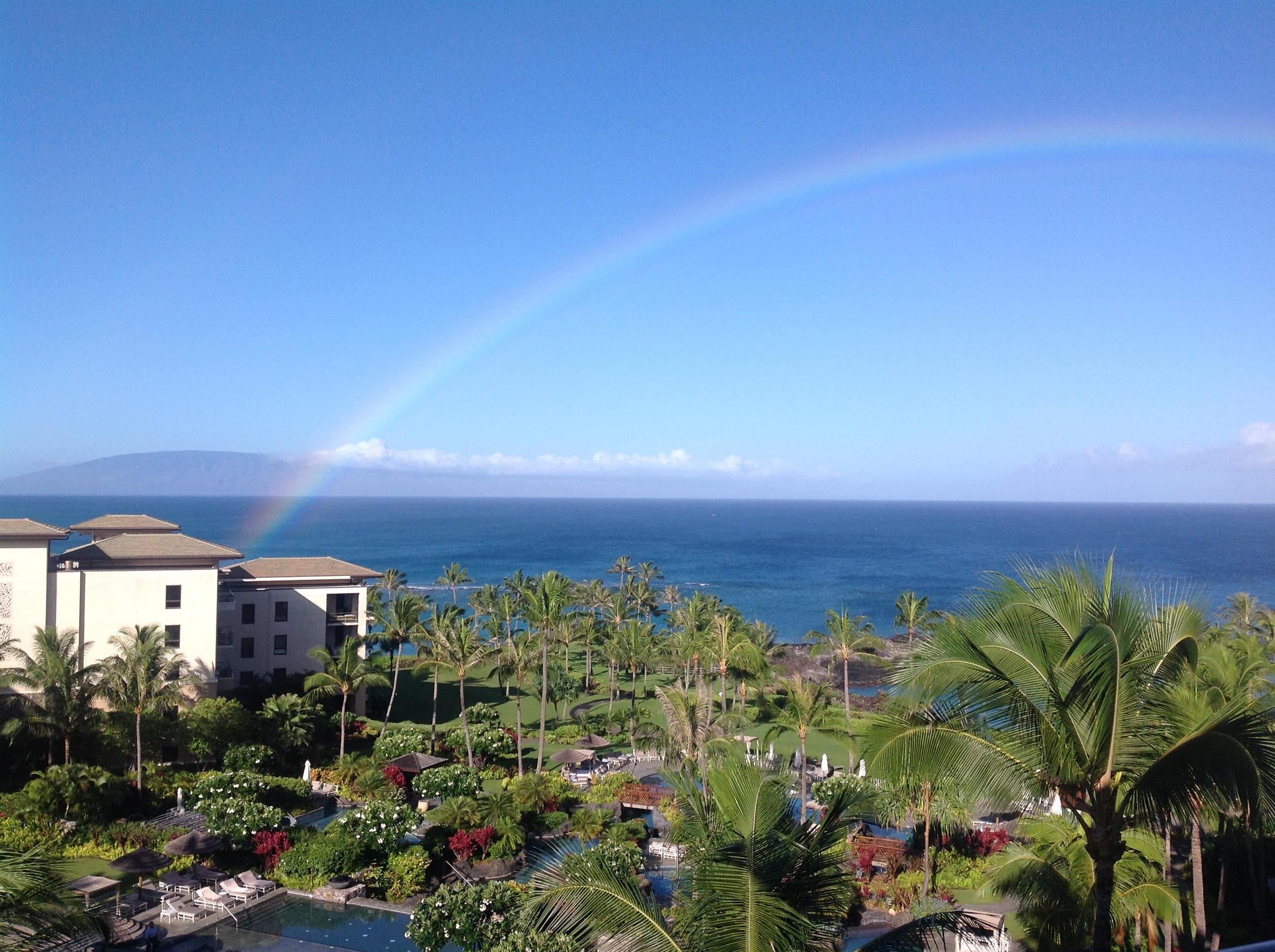 Residences on Kapalua Bay — photo 6