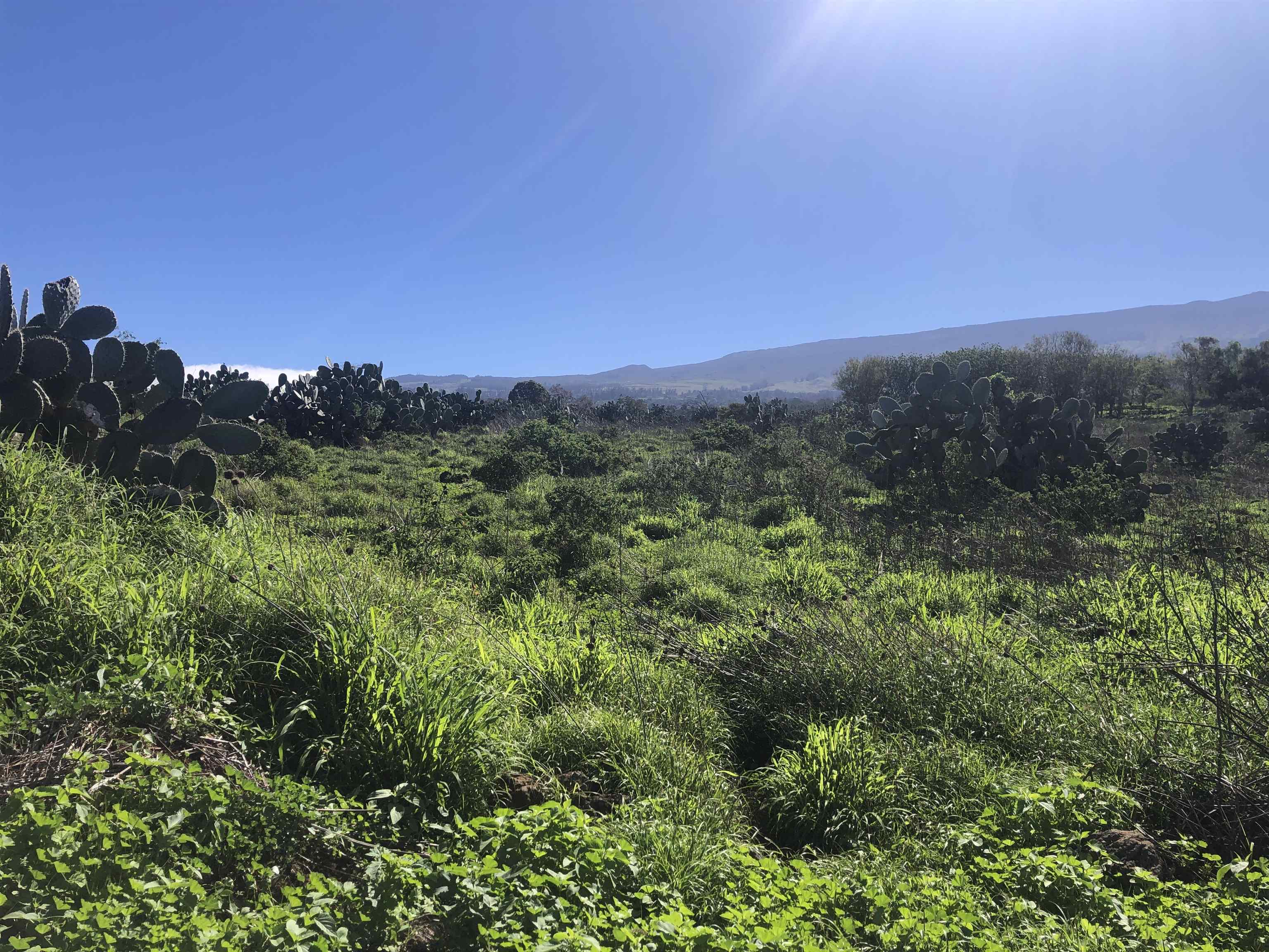 0 Kula Hwy, Kula, HI, 96790