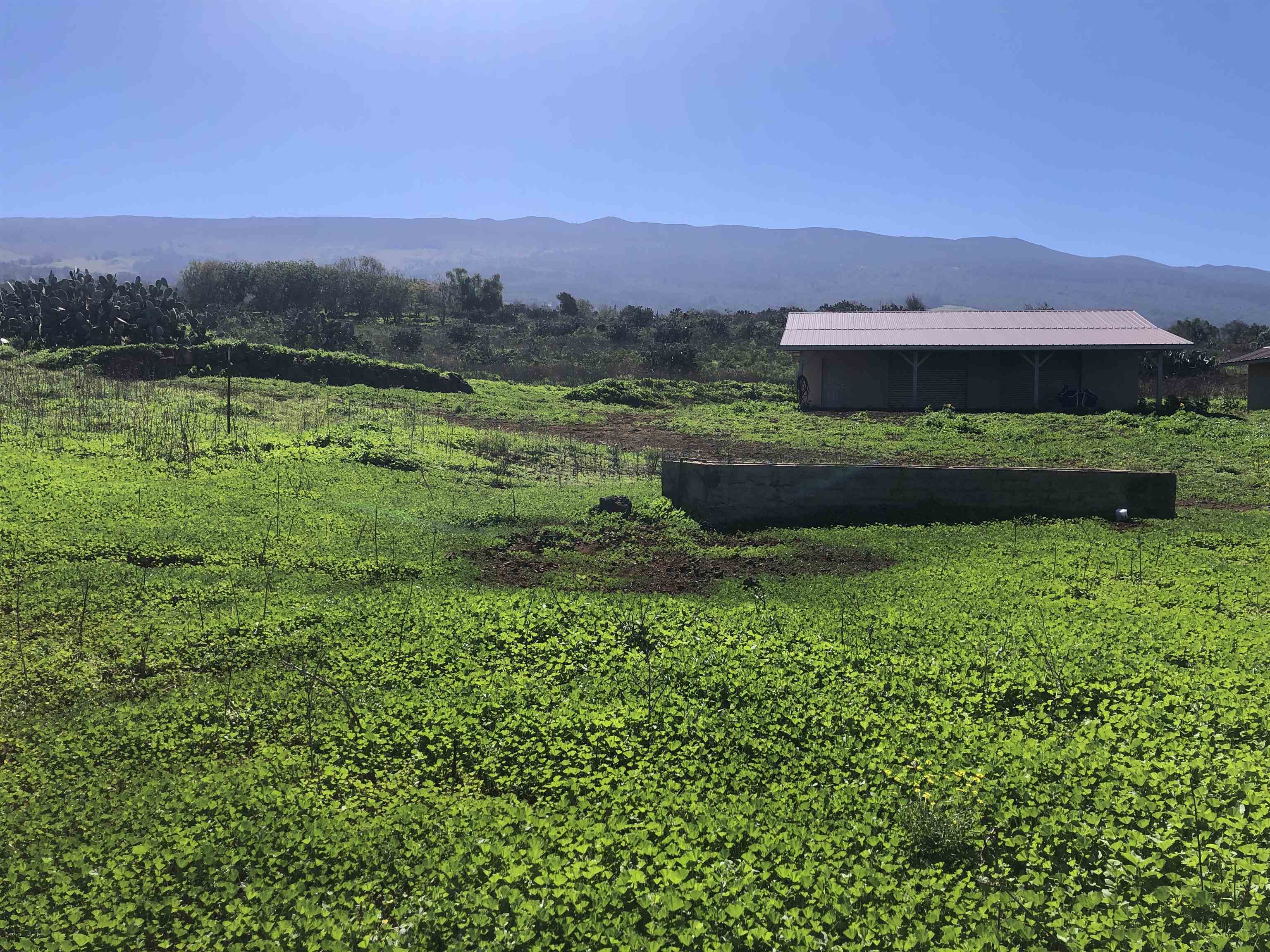 0 Kula Hwy, Kula, HI, 96790