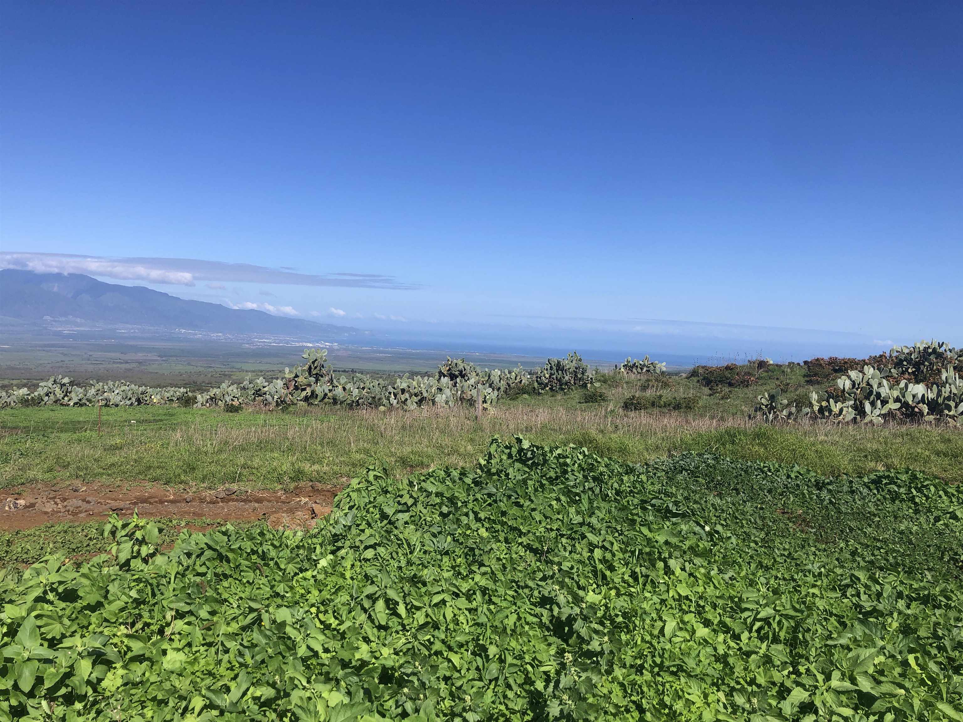 0 Kula Hwy, Kula, HI, 96790