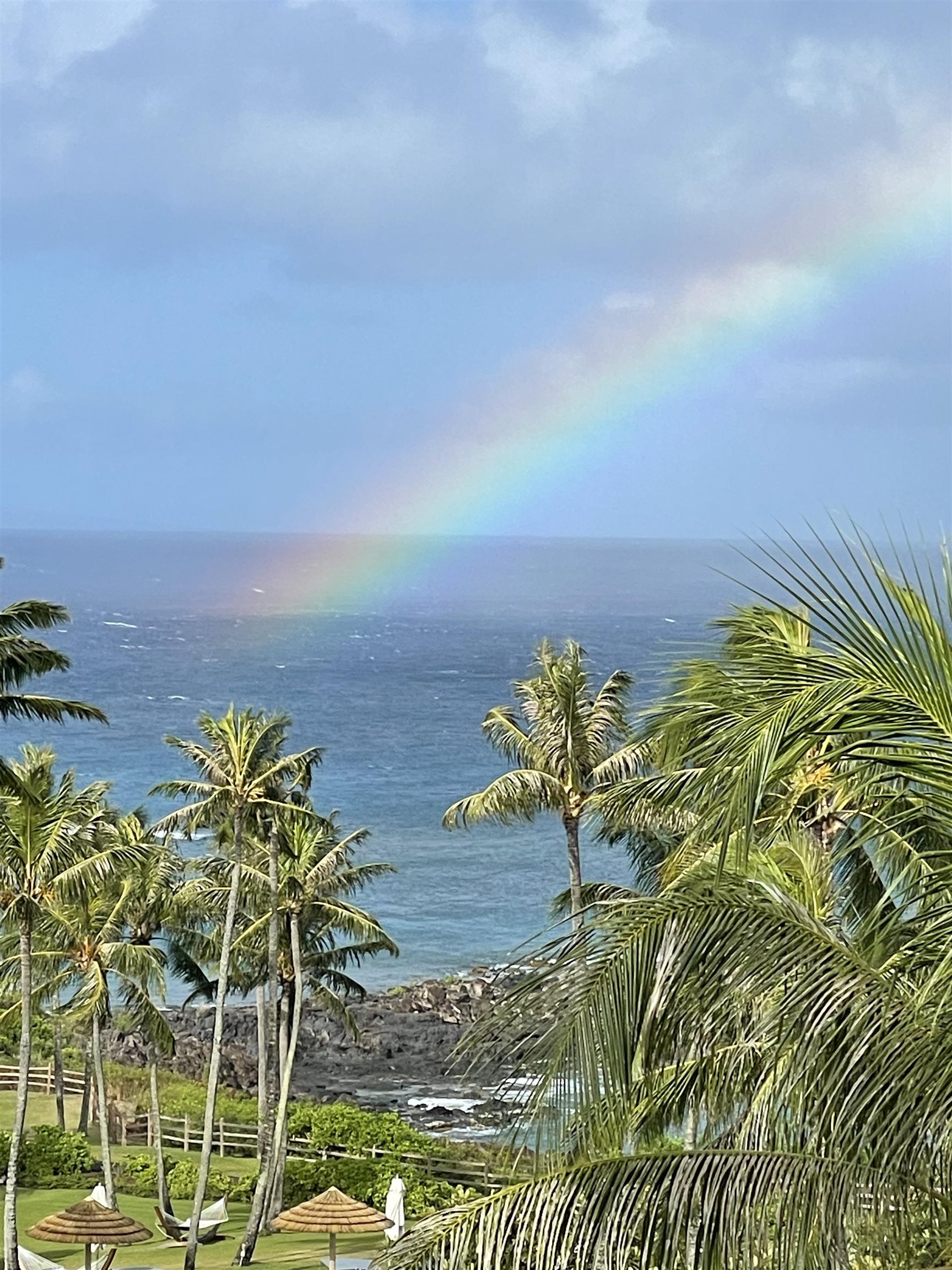 Residences on Kapalua Bay — photo 20