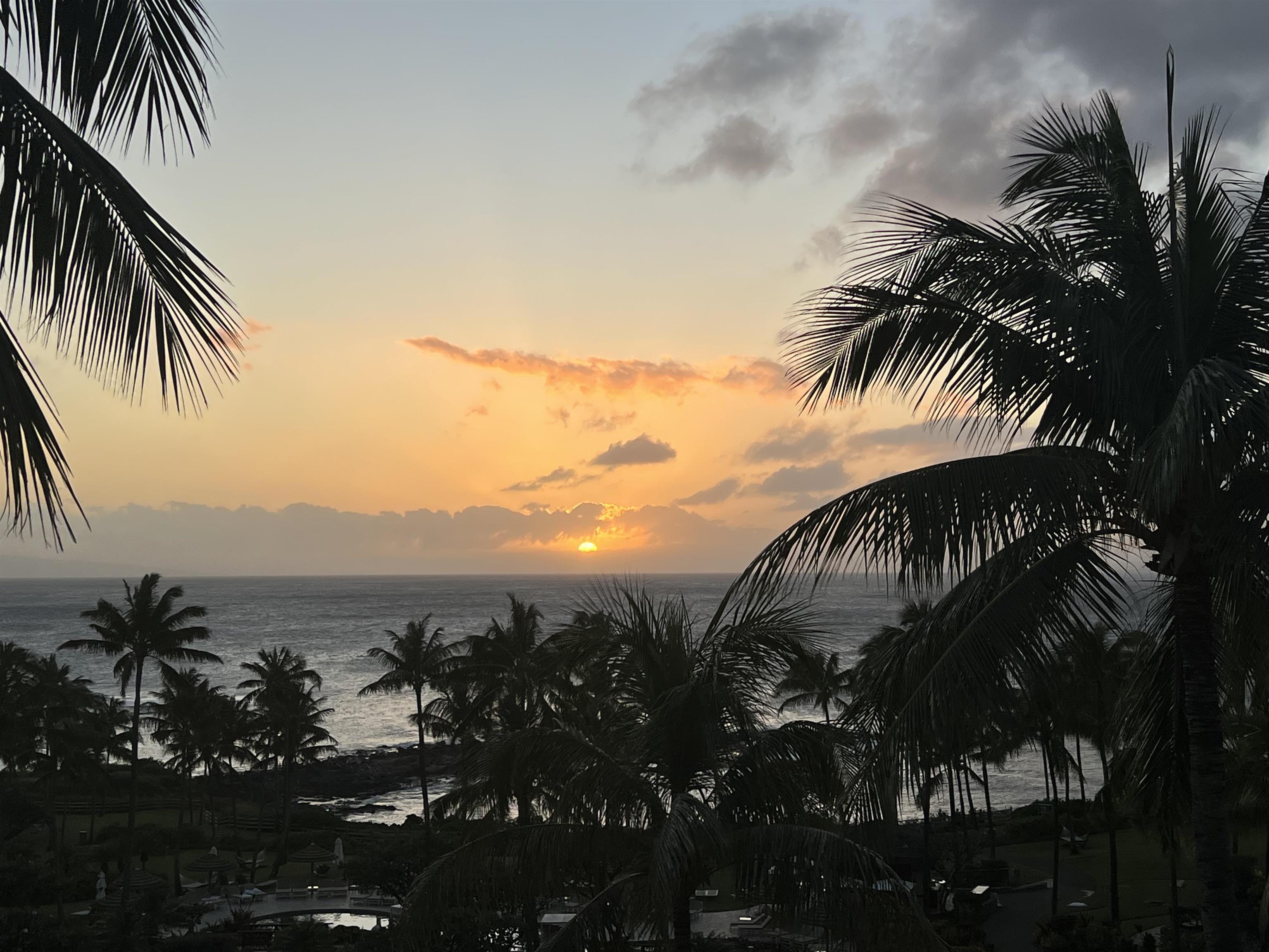 Residences on Kapalua Bay — photo 35