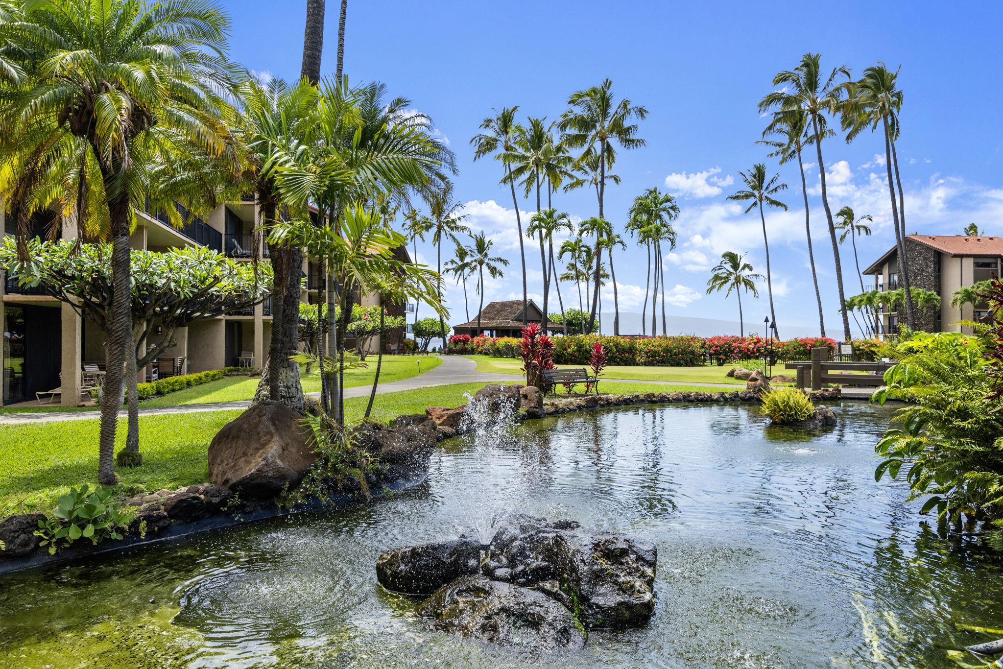 Papakea Resort — Papakea Resort, Napili/Kahana/Honokowai — property photo 36 of 37