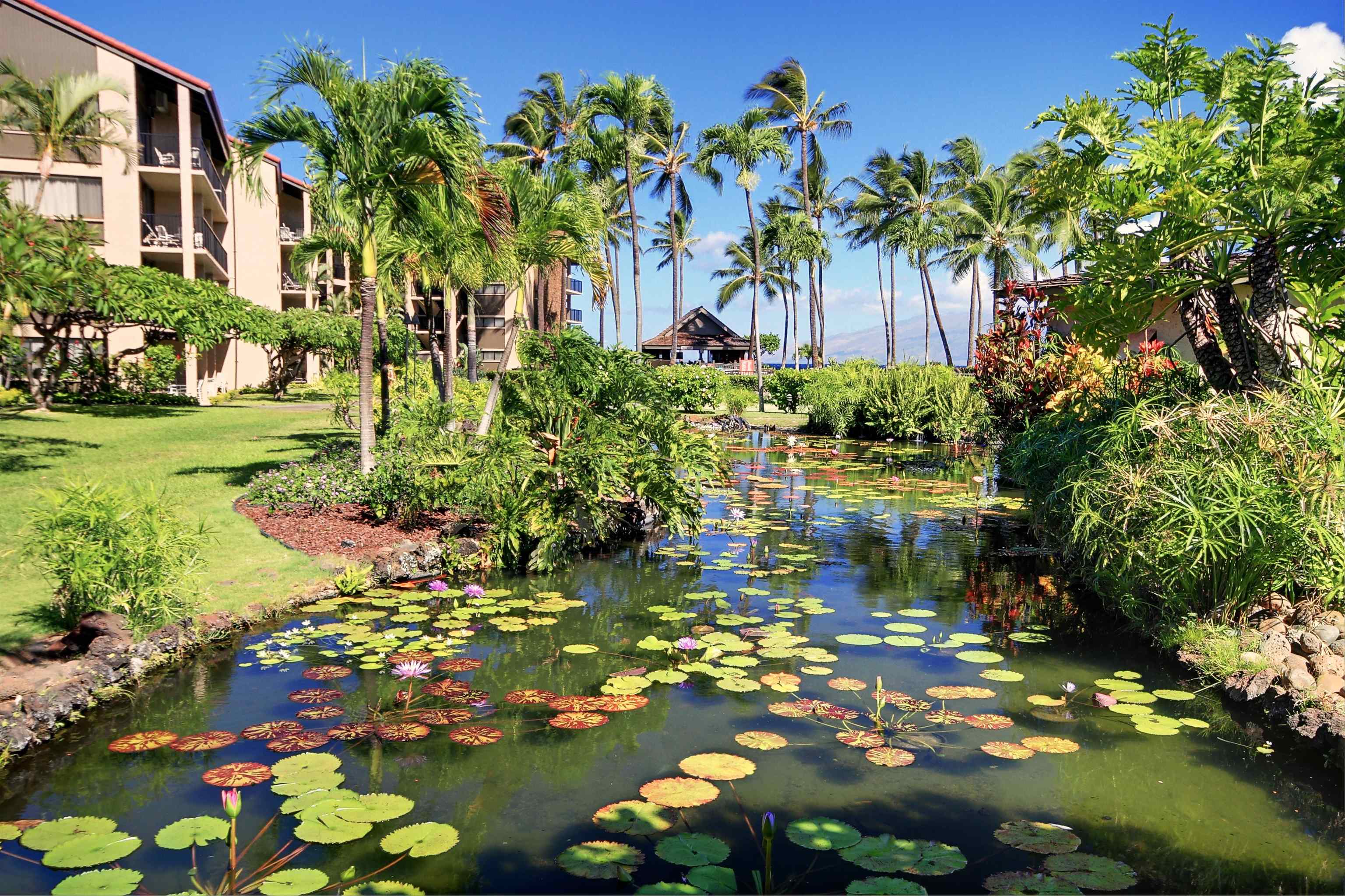 Papakea Resort — Papakea Resort, Napili/Kahana/Honokowai — property photo 22 of 34