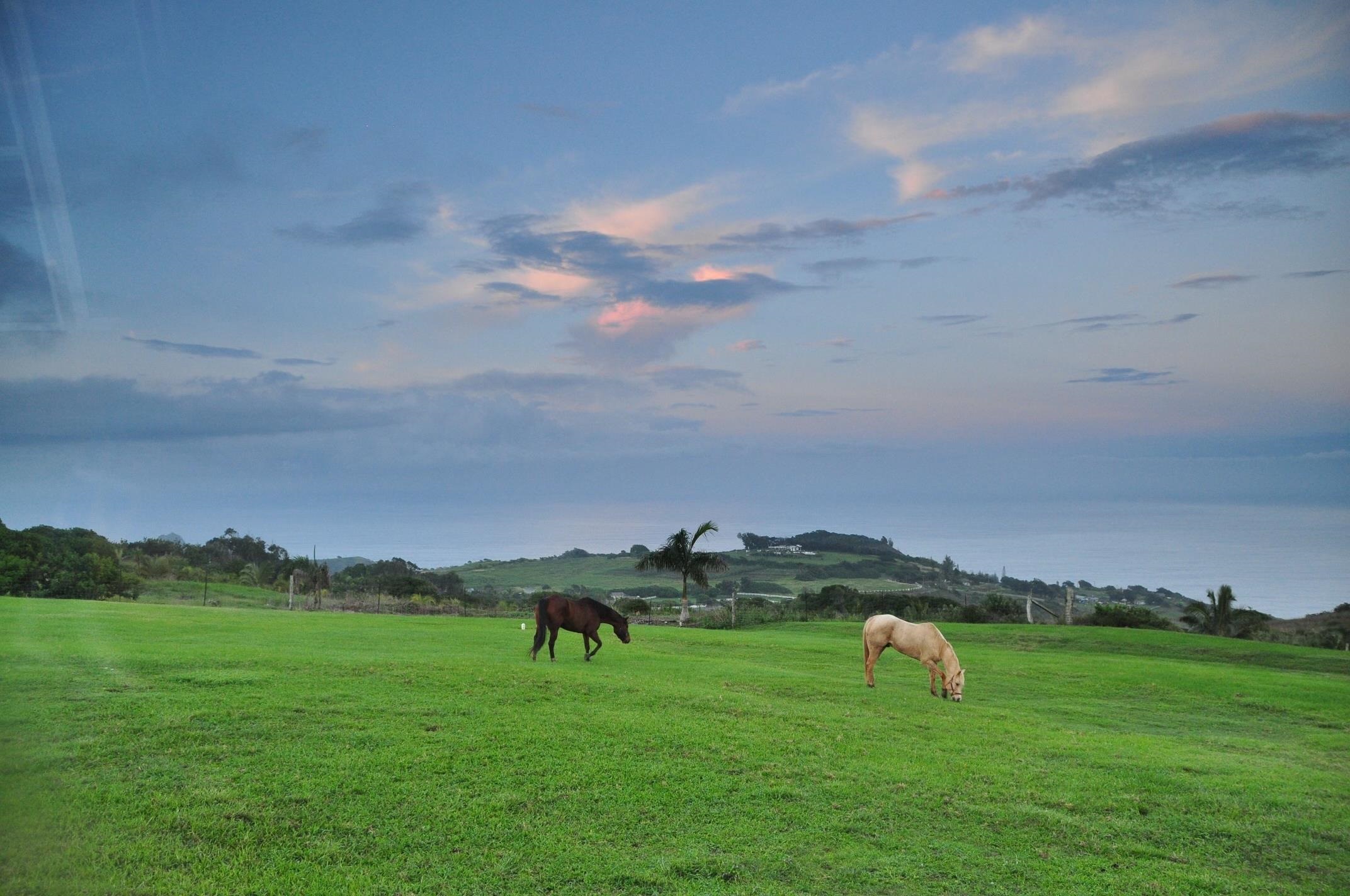 21 Hulumanu Pl, Wailuku, HI, 96793