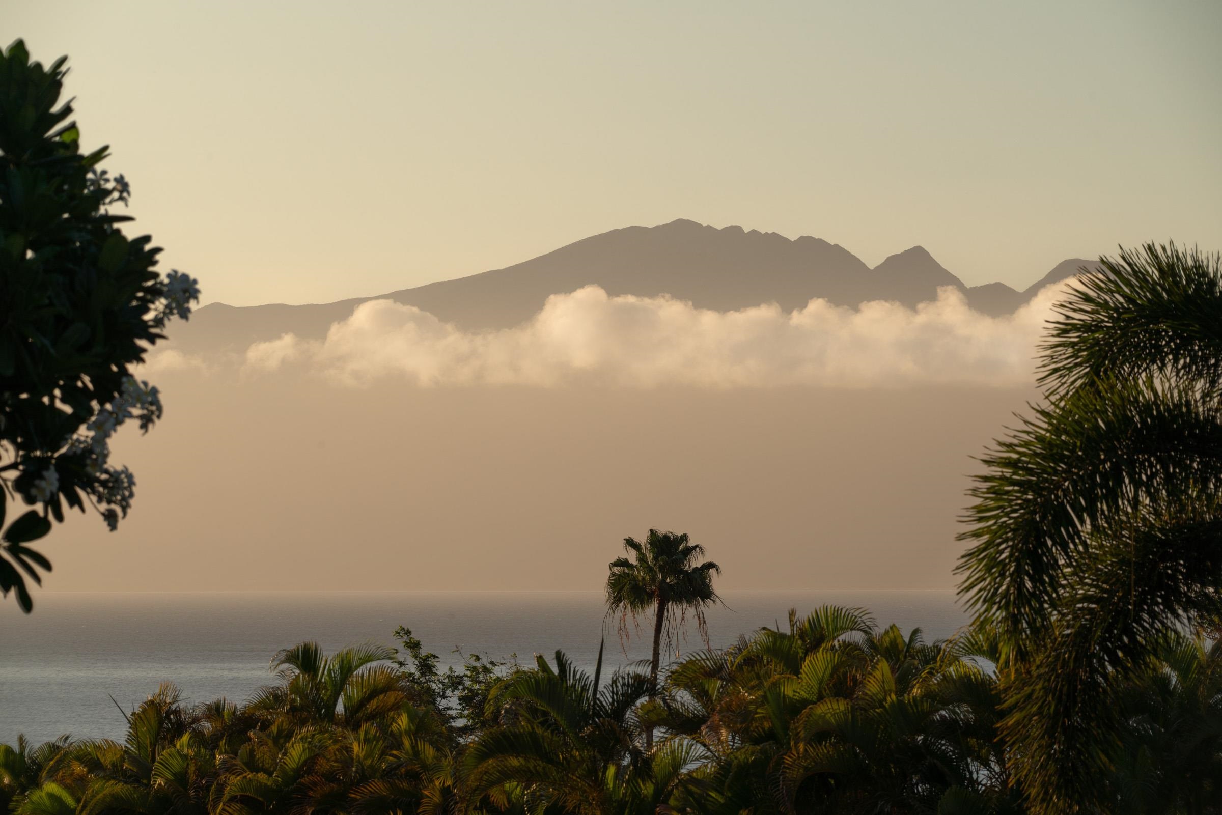 50 Puu Anoano St UNIT&nbsp;2804, Lahaina, HI, 96761