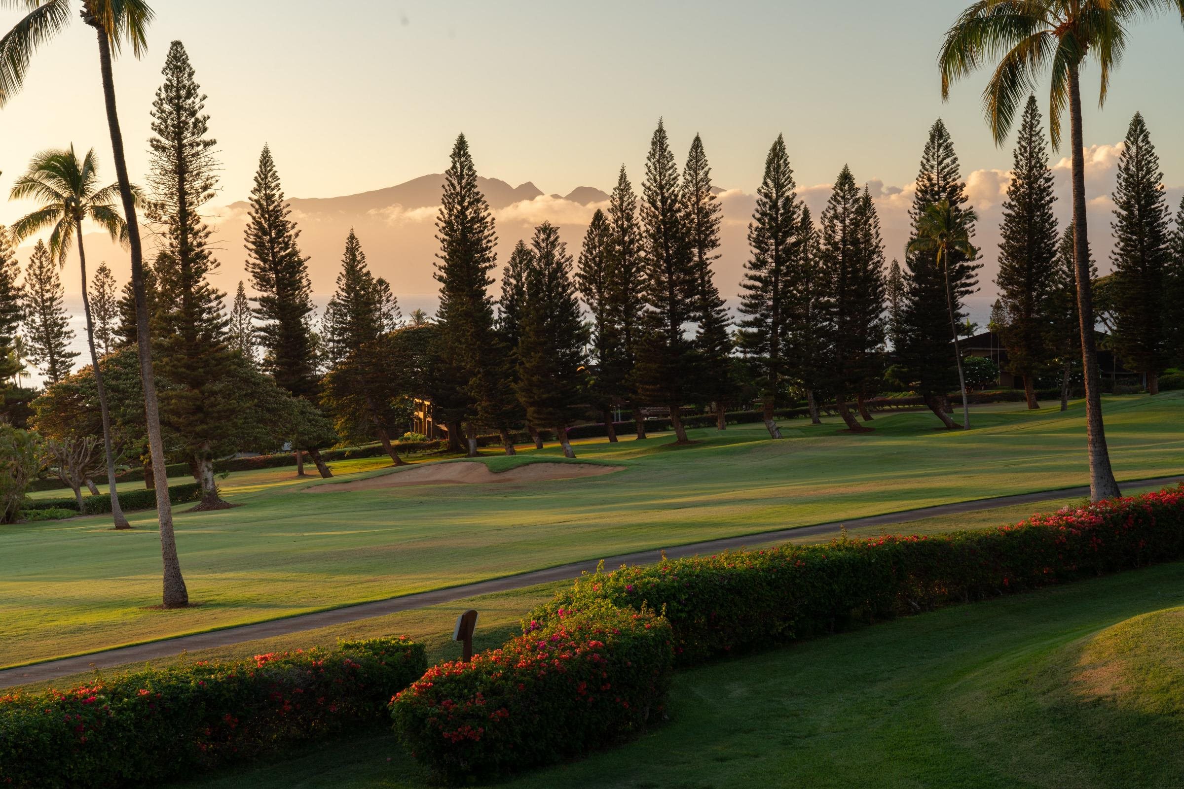 50 Puu Anoano St UNIT&nbsp;2804, Lahaina, HI, 96761