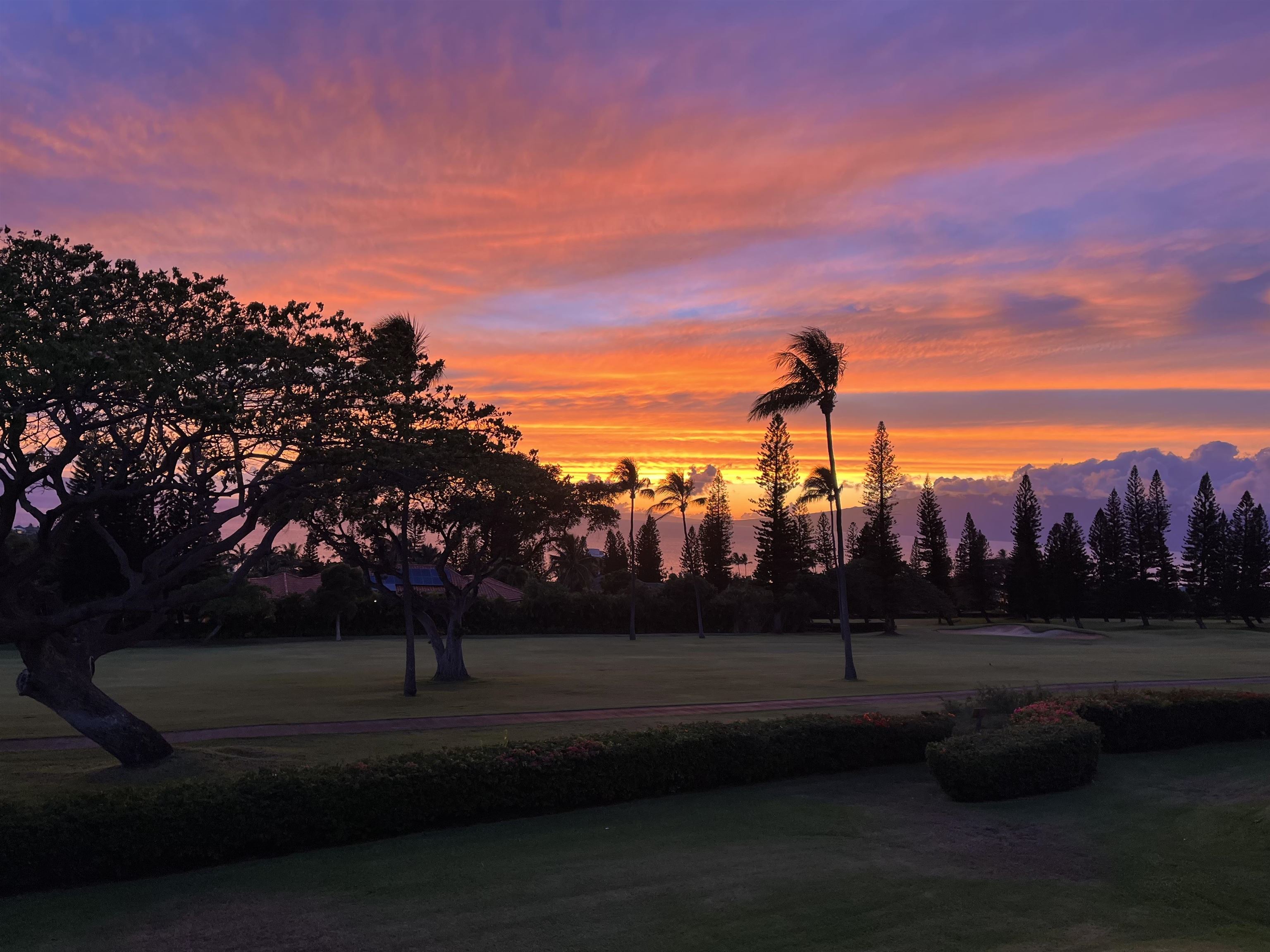 50 Puu Anoano St UNIT&nbsp;2804, Lahaina, HI, 96761