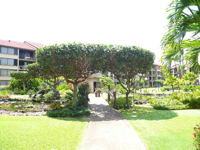 Papakea Resort — Papakea Resort, Napili/Kahana/Honokowai — property photo 33 of 36