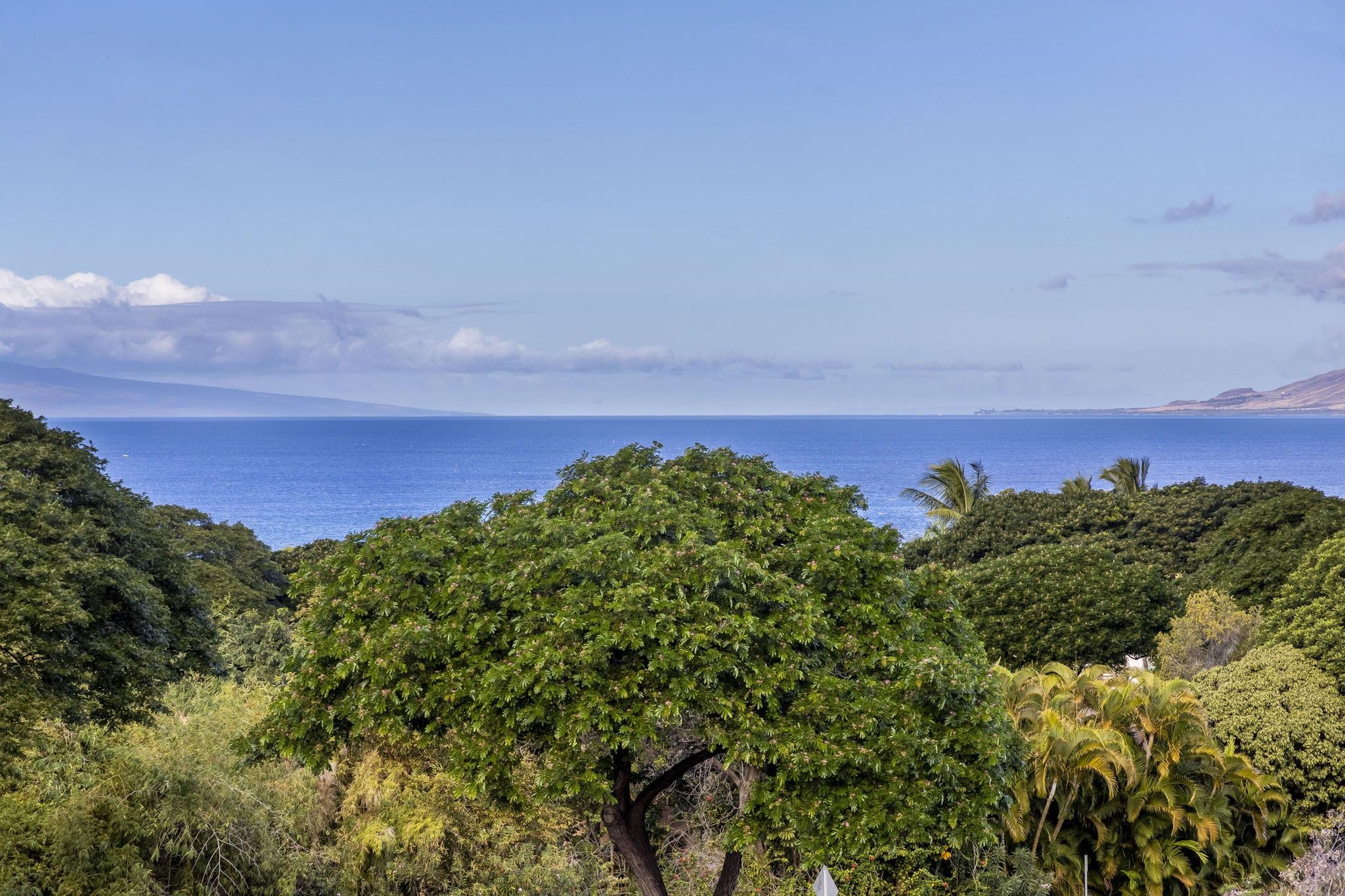 60 Kai Malu Dr UNIT&nbsp;202 (11D), Kihei, HI, 96753