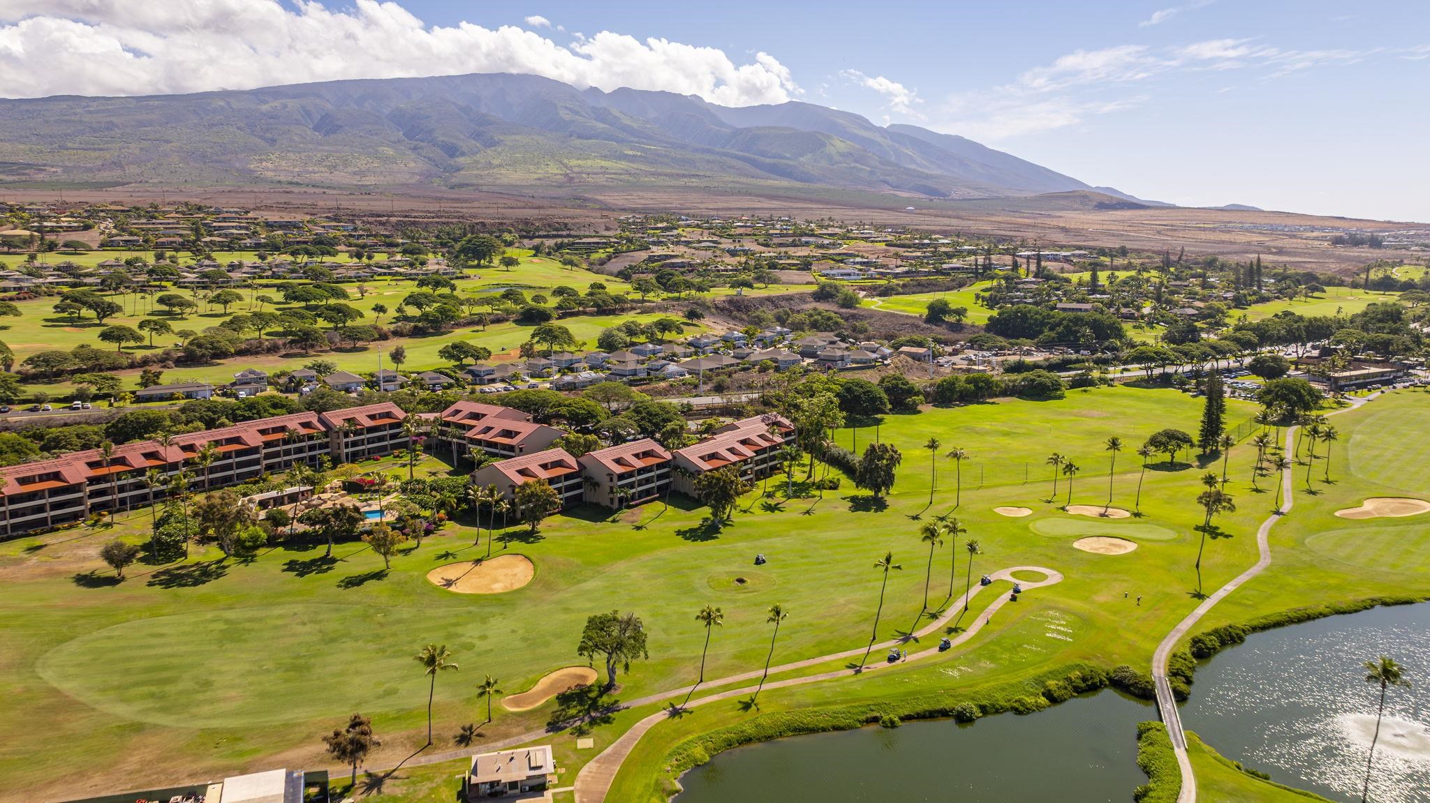 Whaler I — Whaler I, Kaanapali — property photo 42 of 46