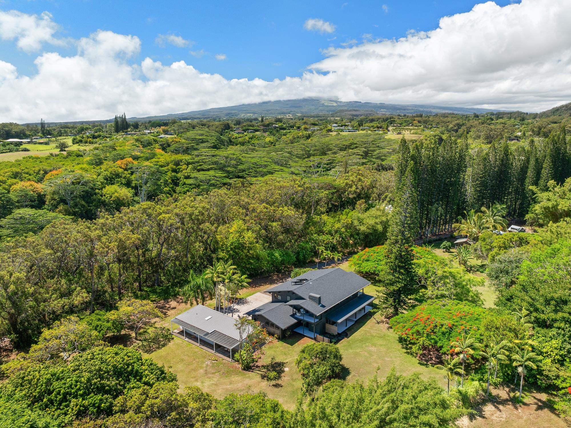 Maui Homes