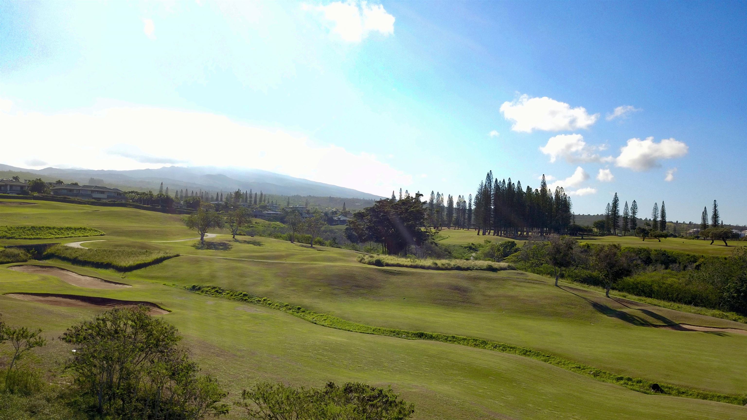 Pailolo Commercial — photo 7