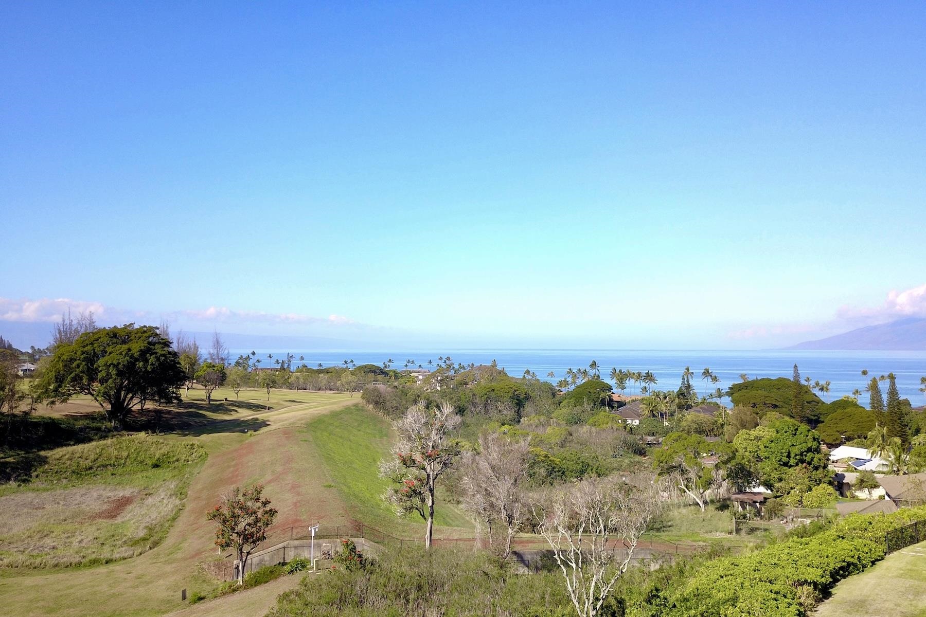 Pailolo Commercial — photo 3