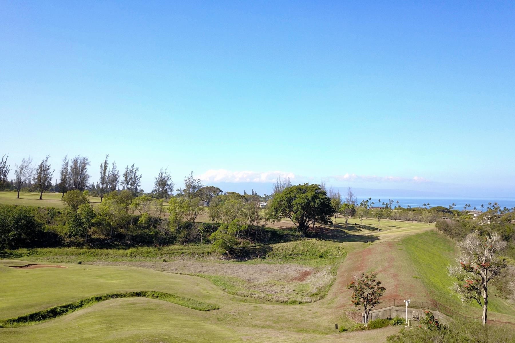 Pailolo Commercial — photo 4