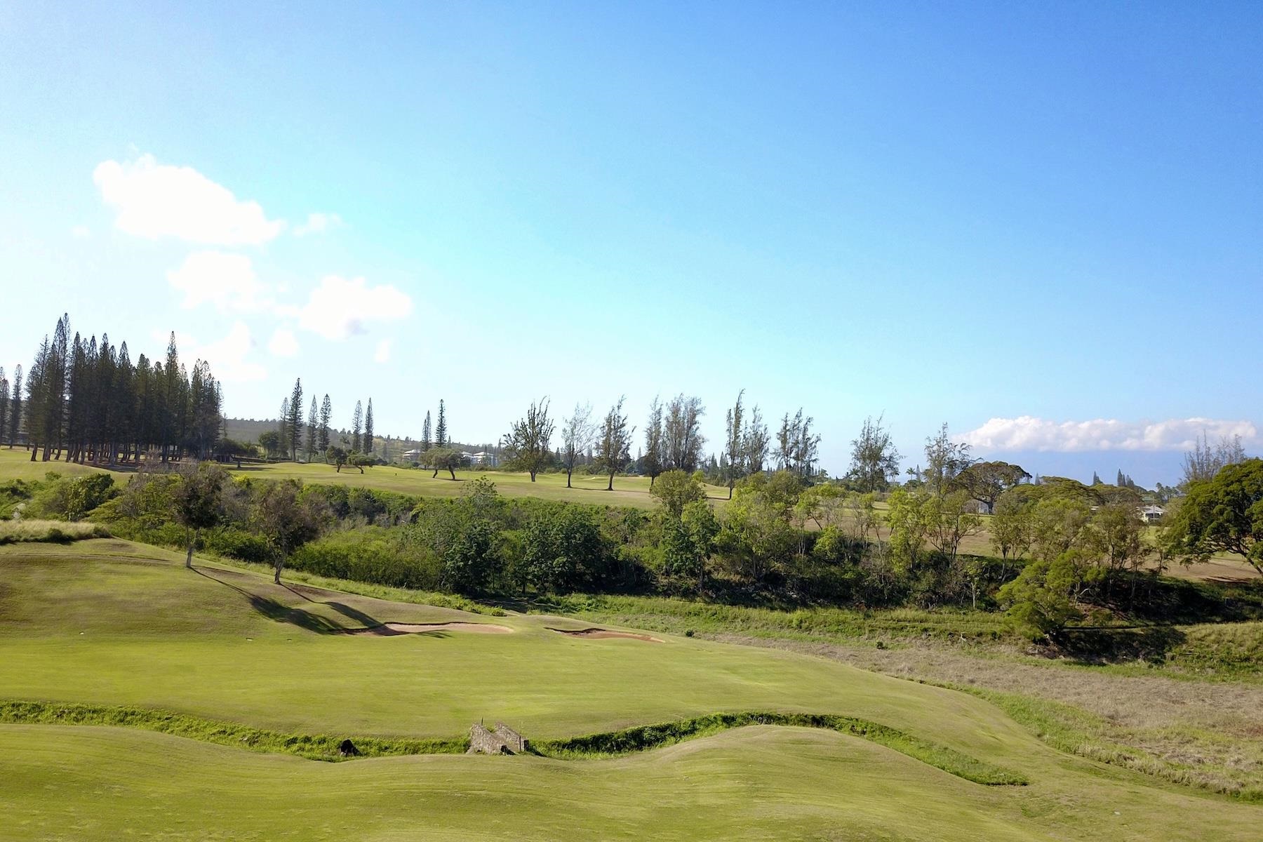 Pailolo Commercial — photo 5