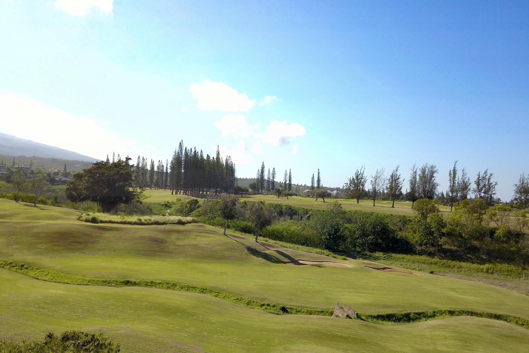 Pailolo Commercial — photo 6