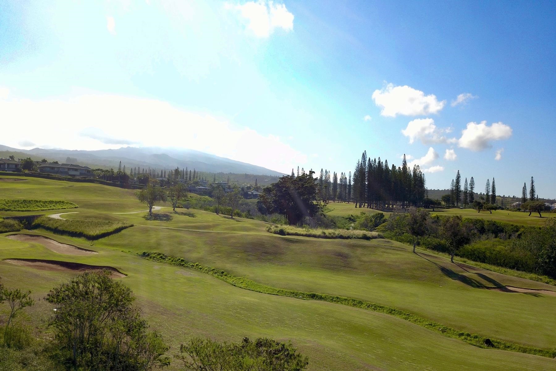 Pailolo Commercial — photo 7