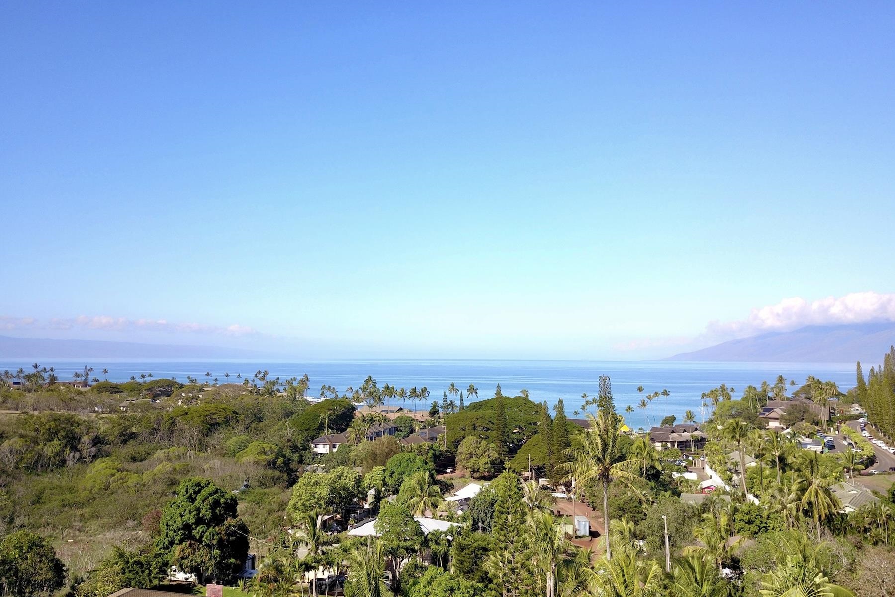 Pailolo Commercial — photo 6