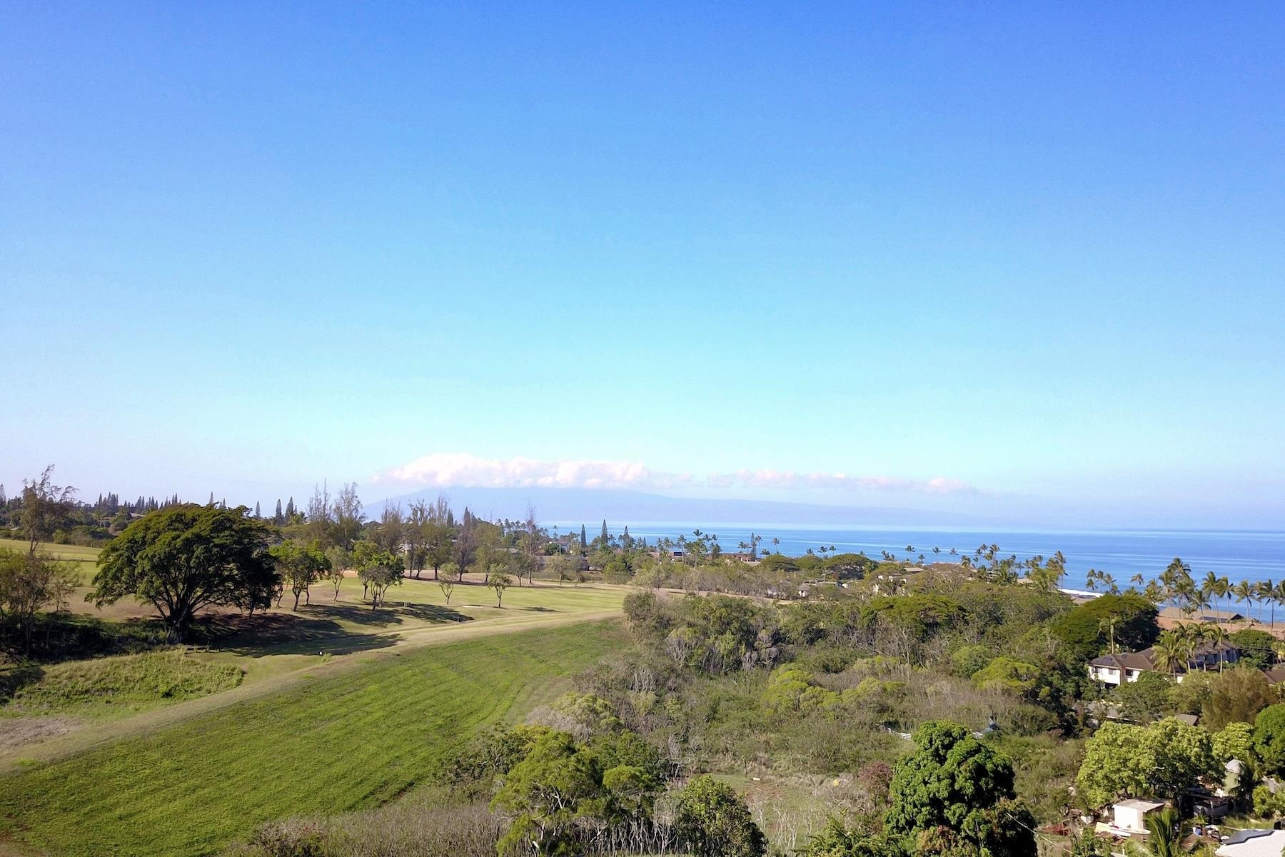 Pailolo Commercial — photo 7