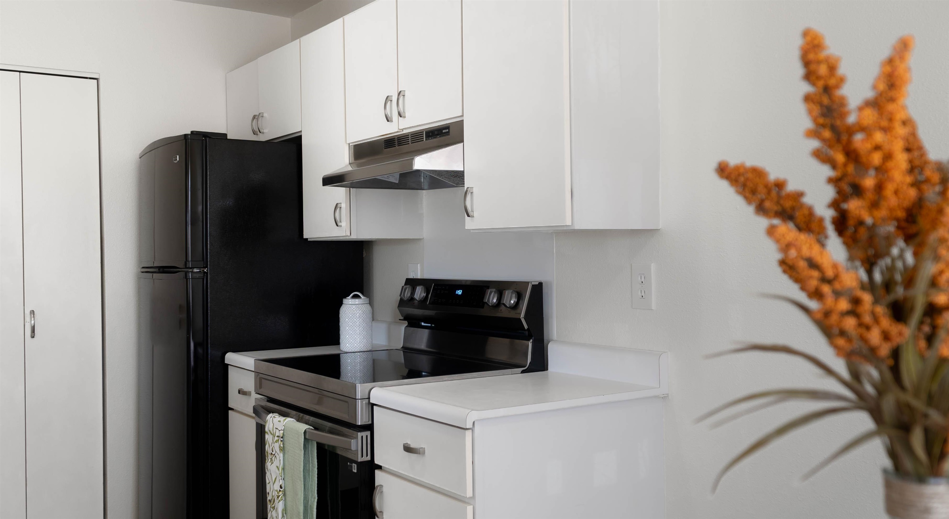 85 Kapi Ln UNIT&nbsp;8-201, Wailuku, HI, 96793