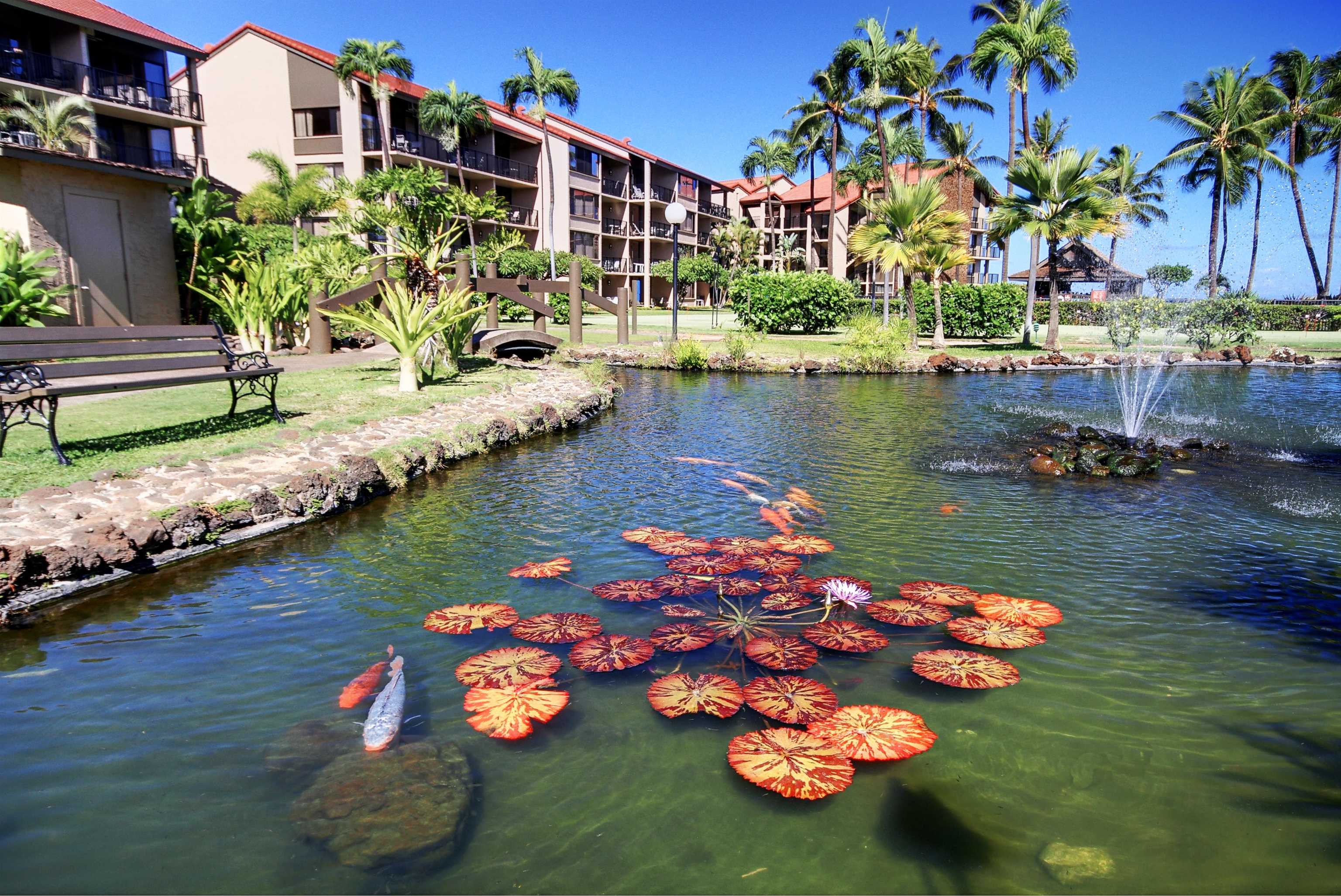 Papakea Resort — photo 21