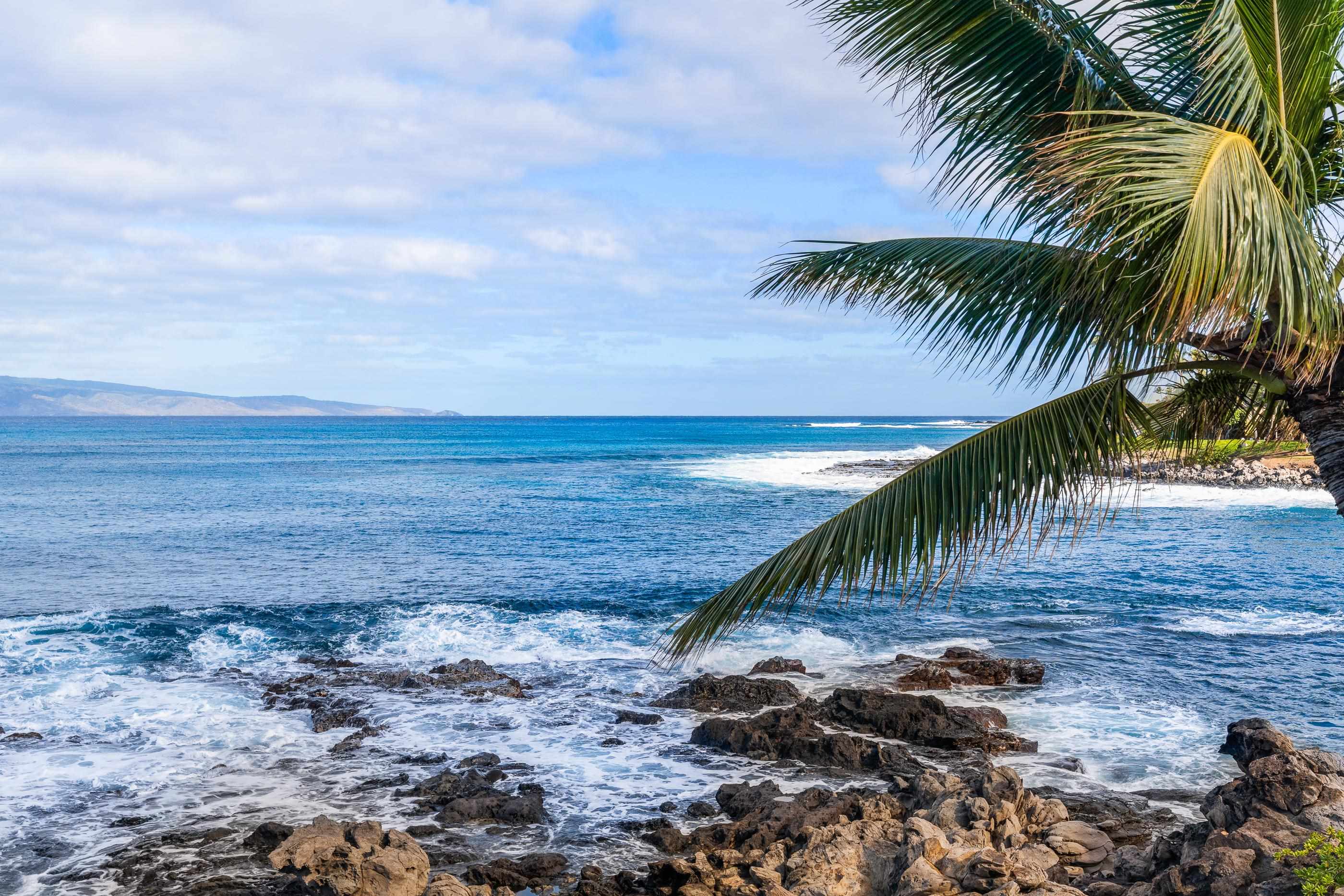 _Residential House — photo 9