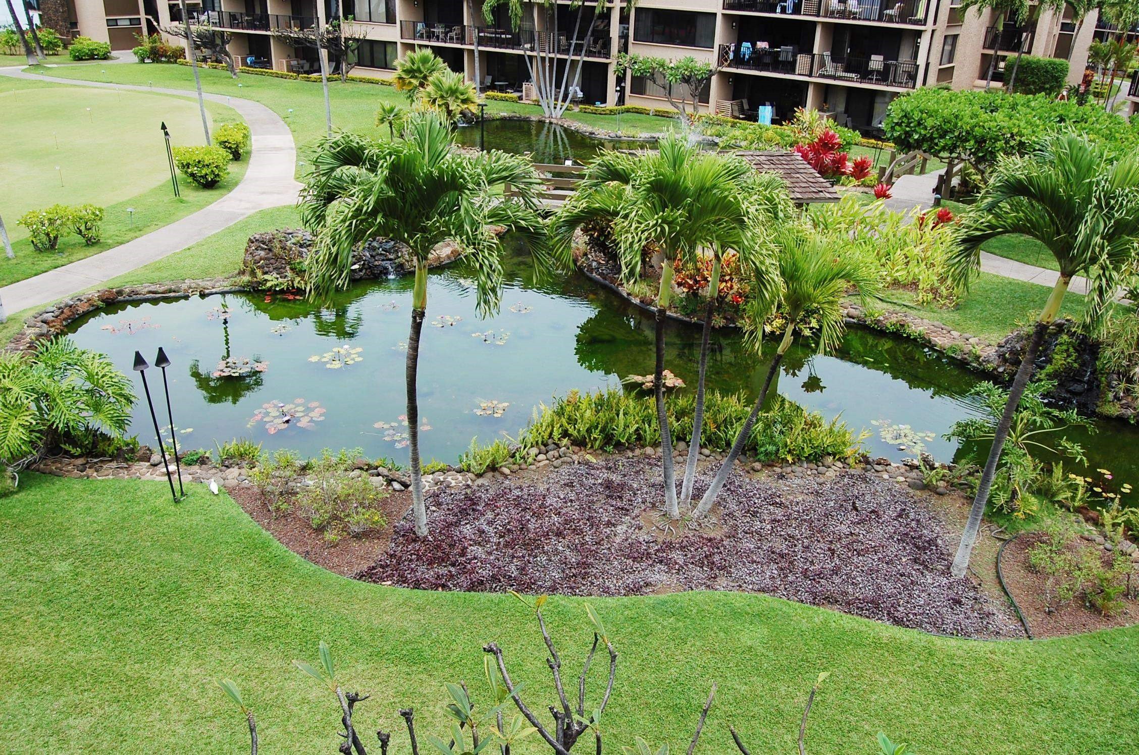 Papakea Resort — Papakea Resort, Napili/Kahana/Honokowai — property photo 12 of 30