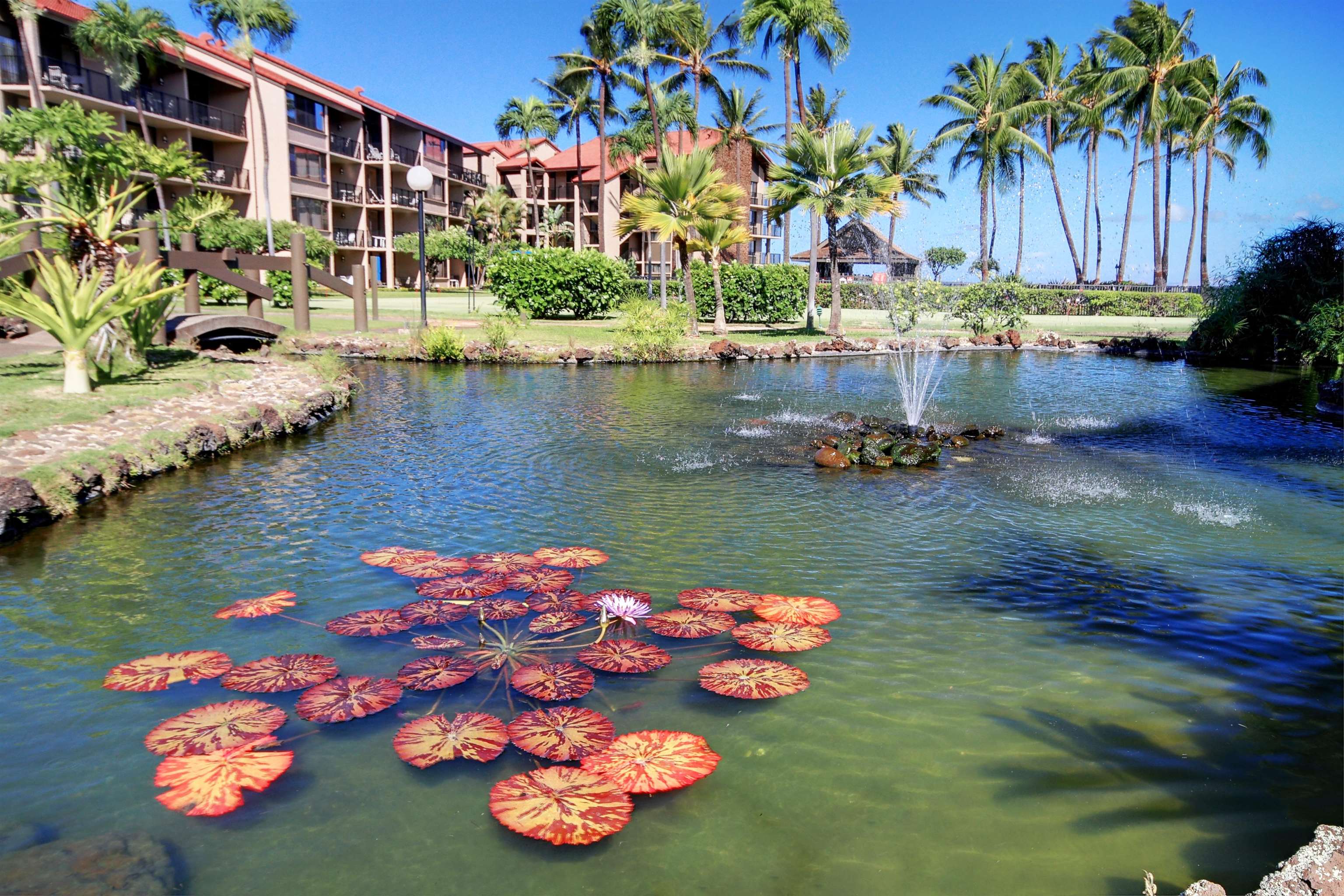 Papakea Resort — Papakea Resort, Napili/Kahana/Honokowai — property photo 21 of 30