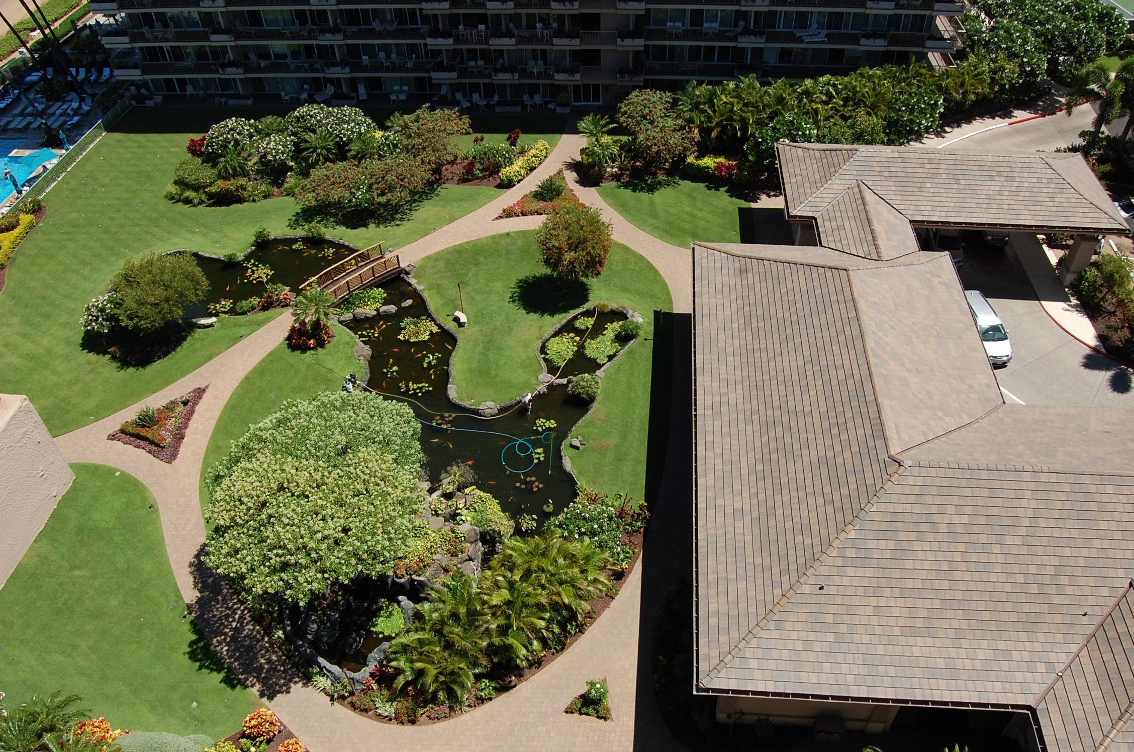 Whaler I — photo 21