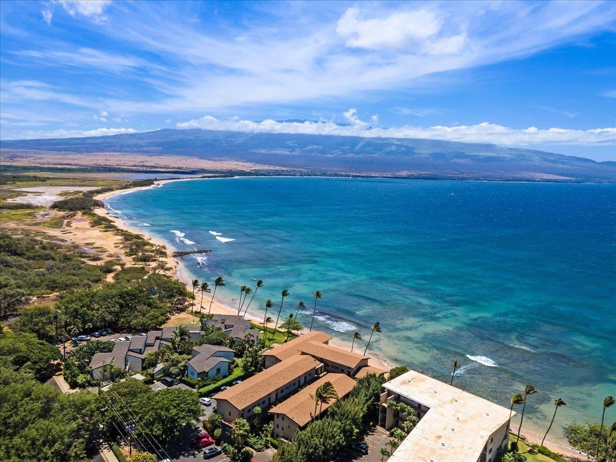 Maui